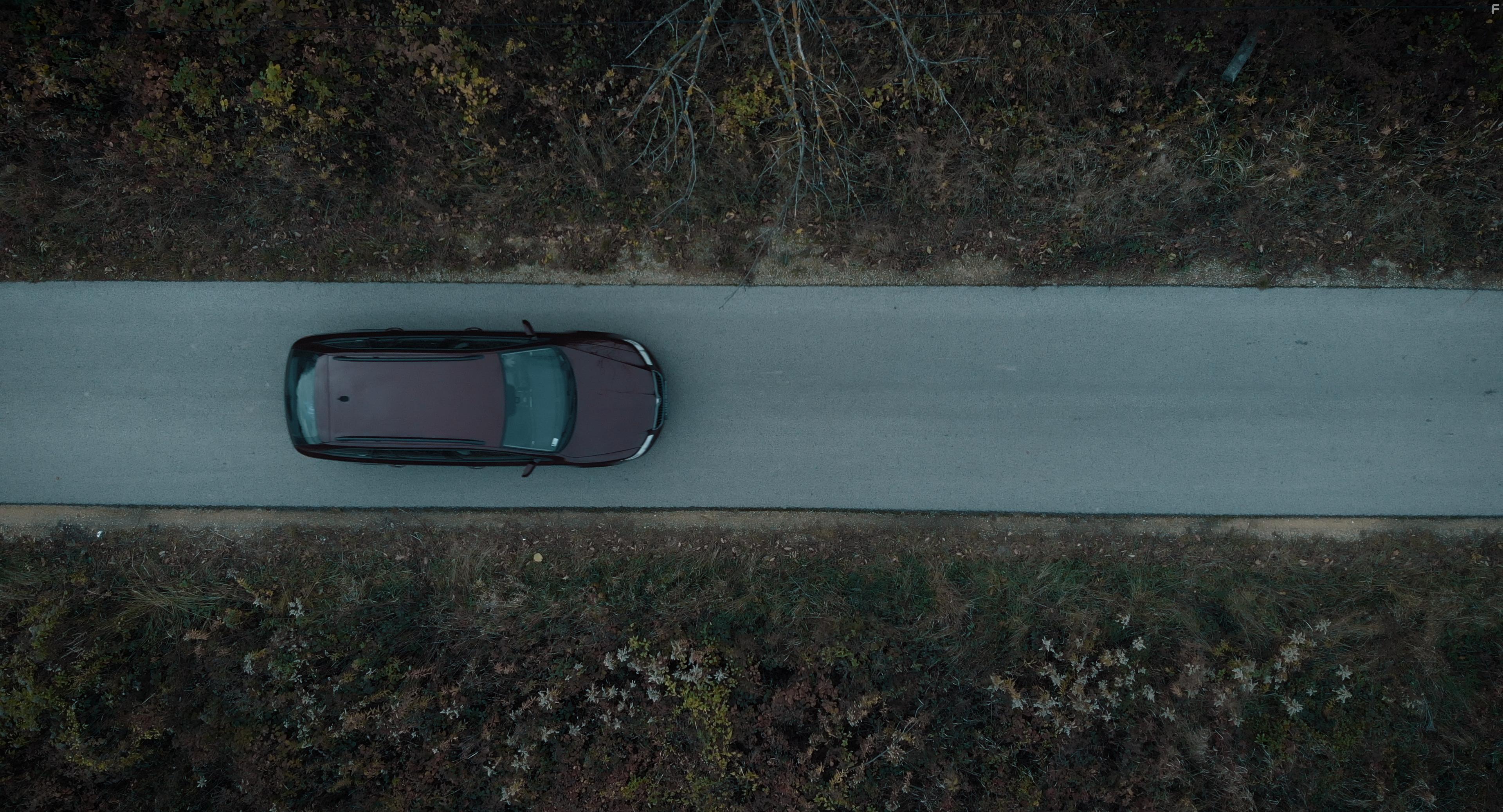 I Hear the Trees Whispering (2022)