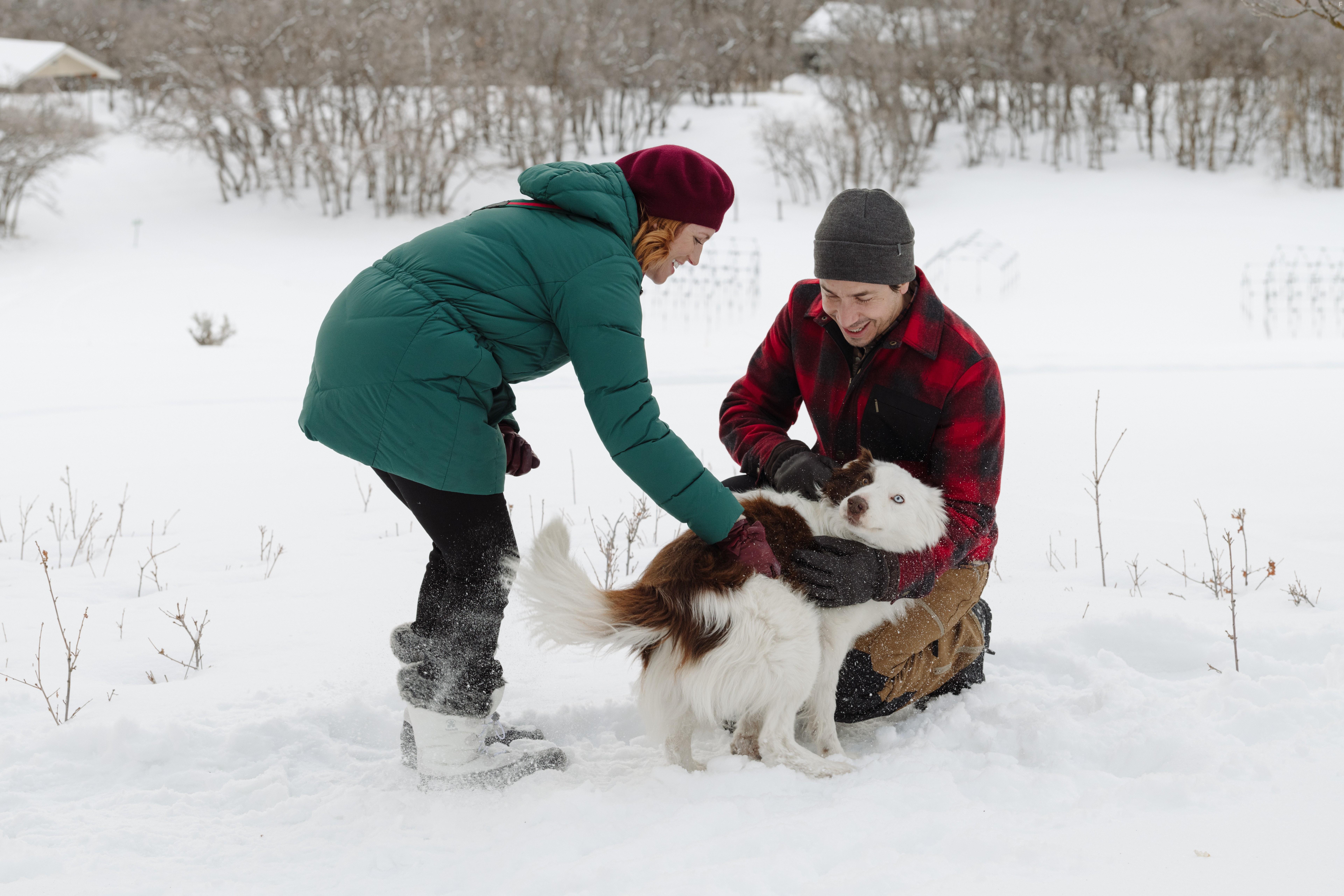 Justin Long and Brittany Snow in Christmas with the Campbells (2022)