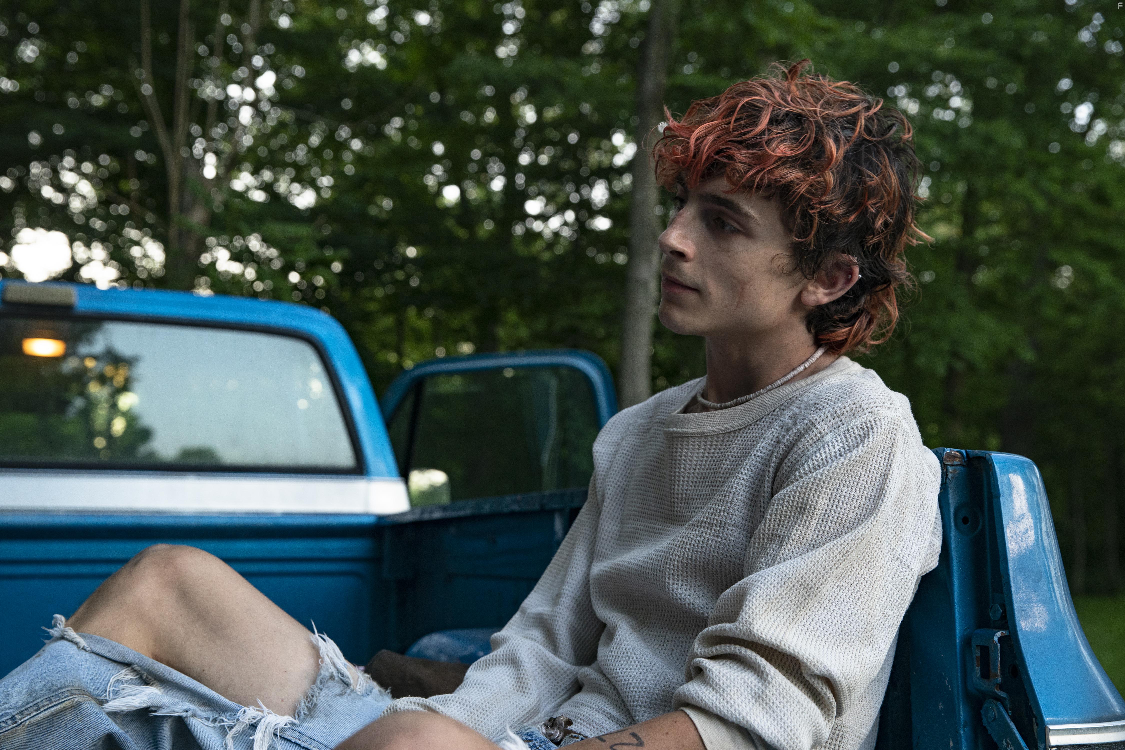 Timothe Chalamet in Bones and All (2022)