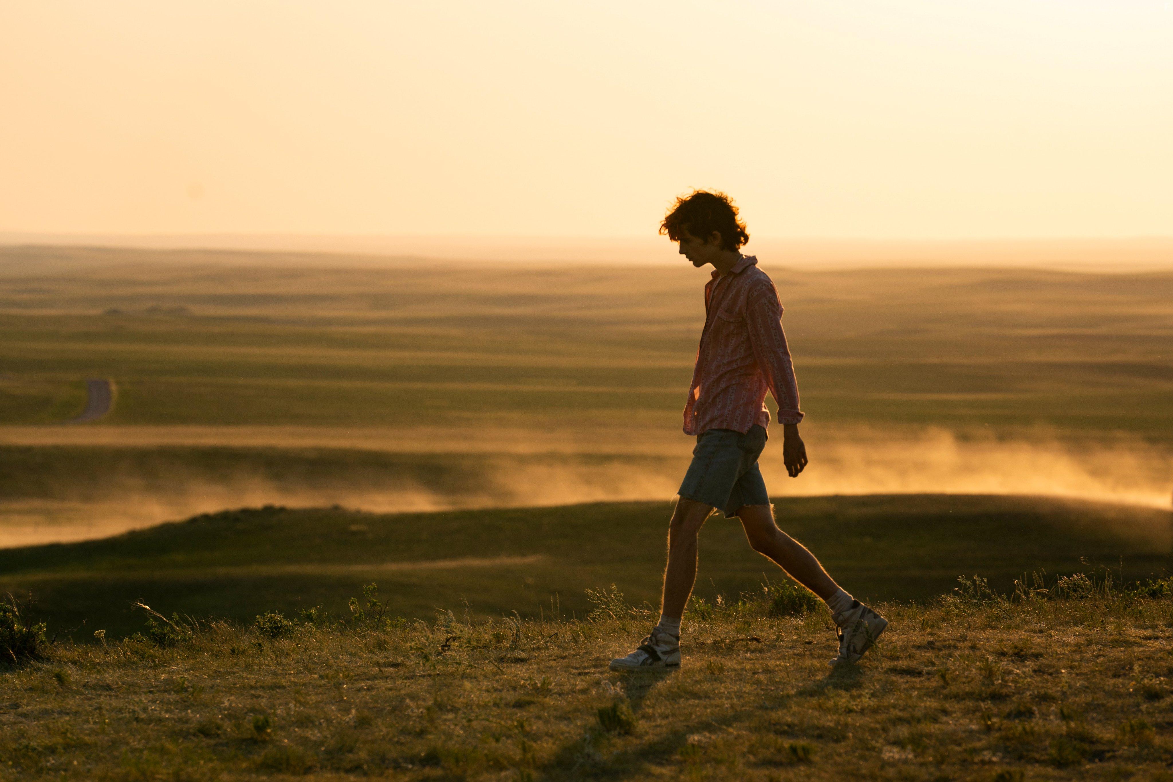 Timothe Chalamet in Bones and All (2022)