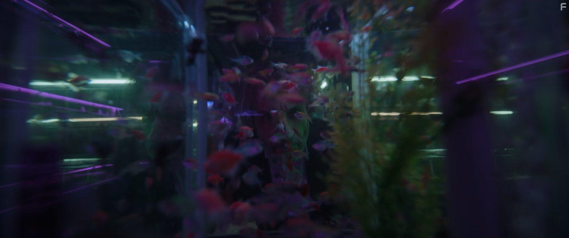 Daniel Gimnez Cacho in Bardo (2022)