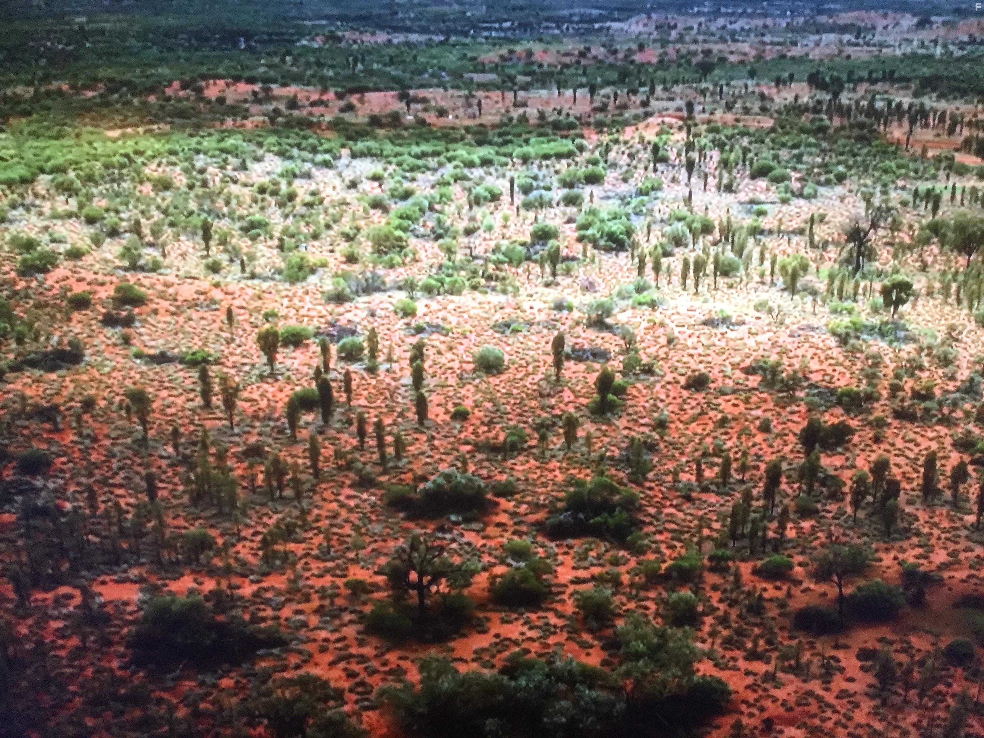 Над Австралией