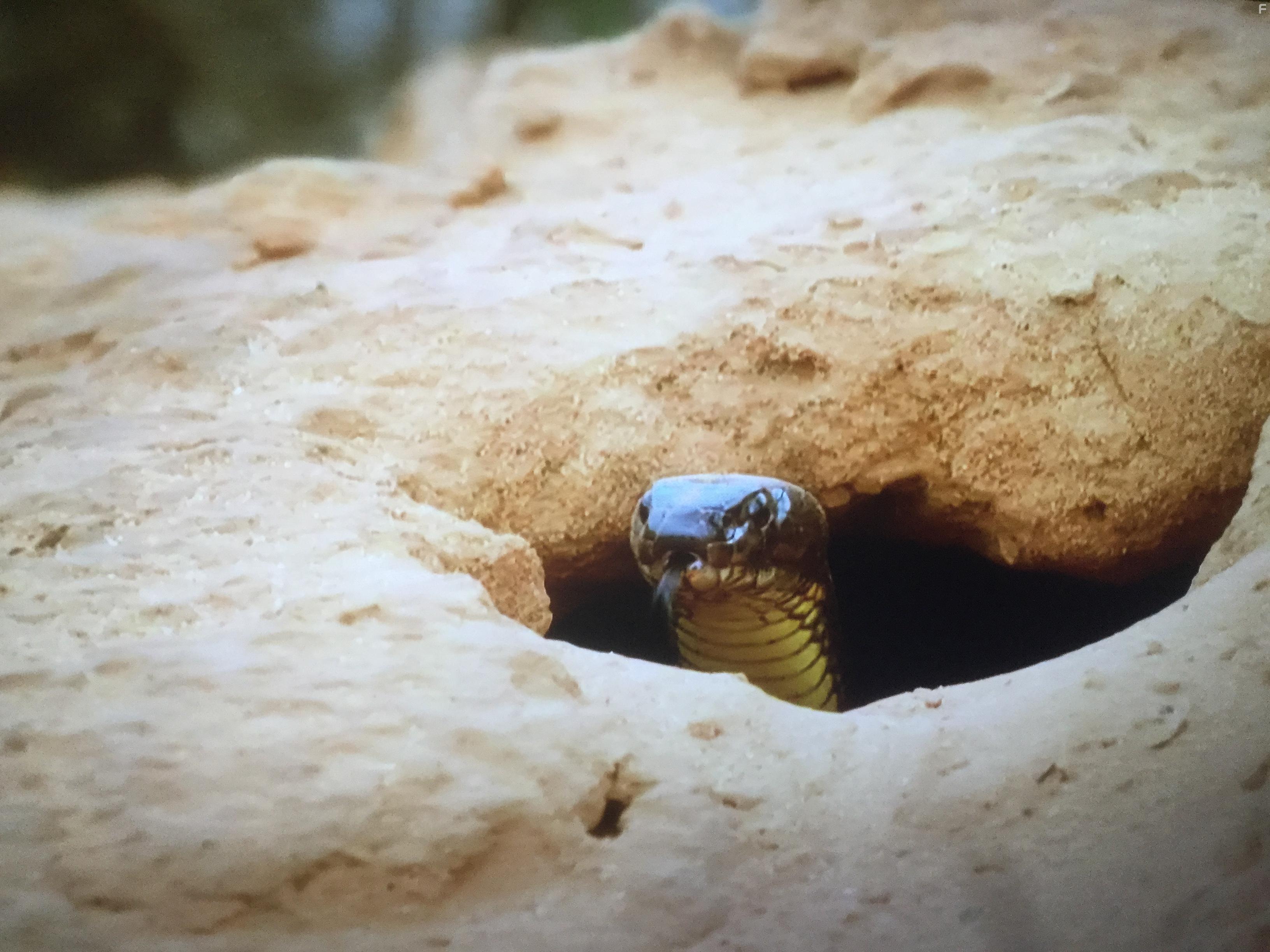 Over Australia (2017)