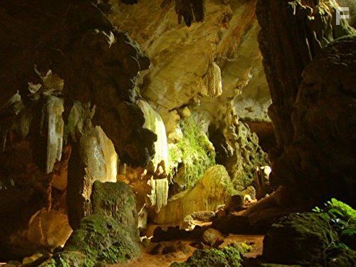 Wildest Indochina (2014)