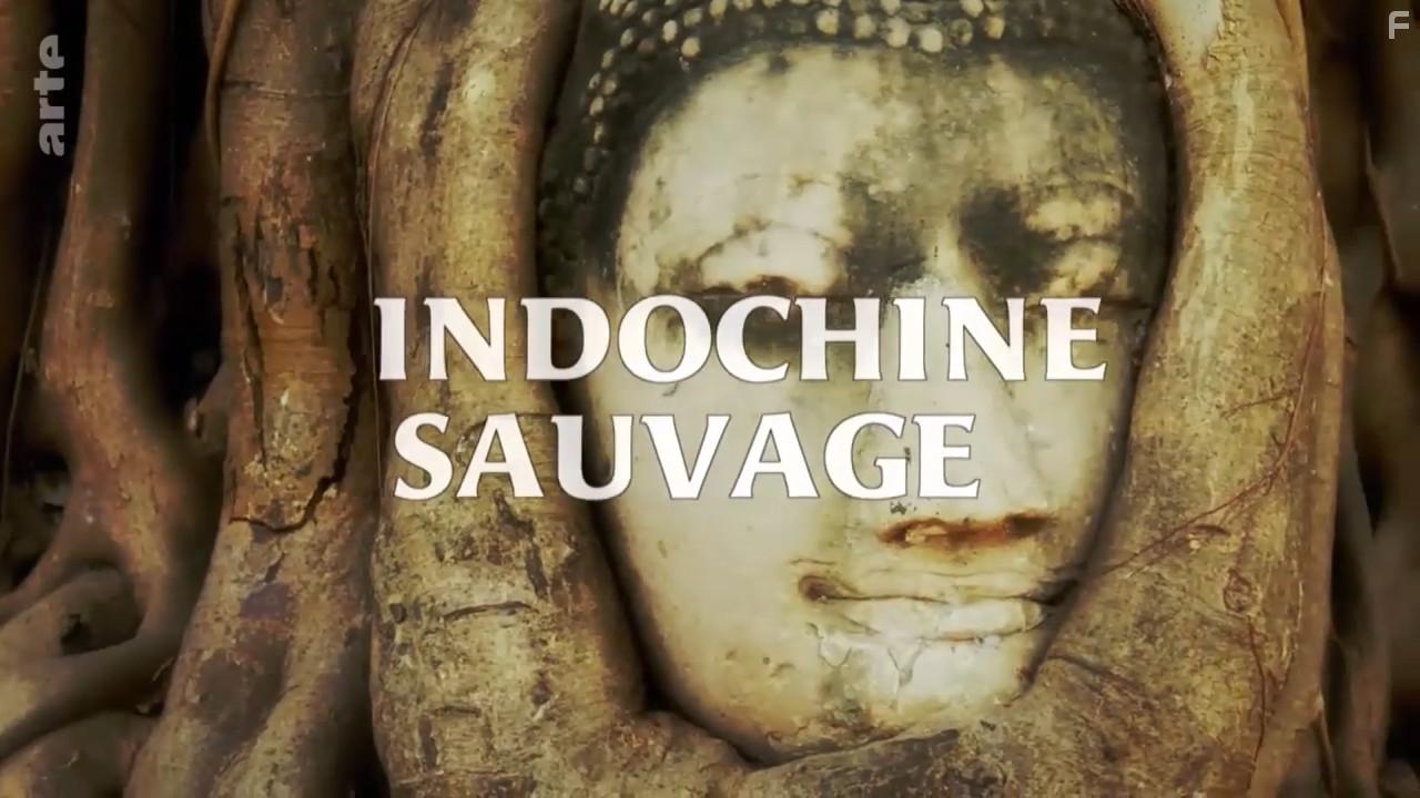 Wildest Indochina (2014)