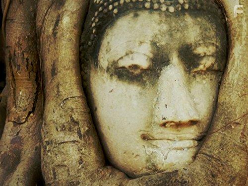 Wildest Indochina (2014)