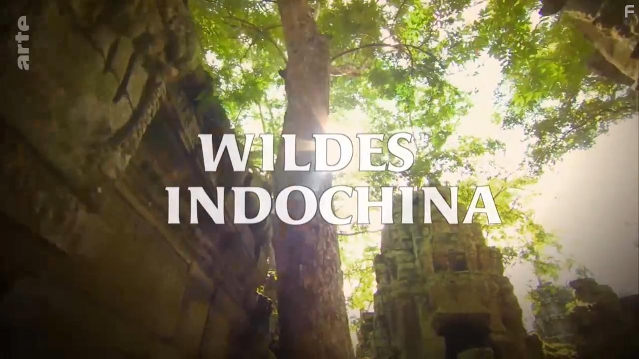 Wildest Indochina (2014)