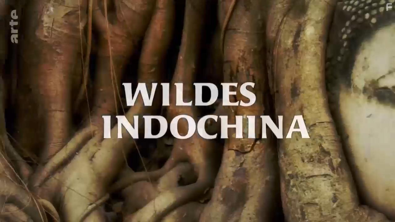 Wildest Indochina (2014)