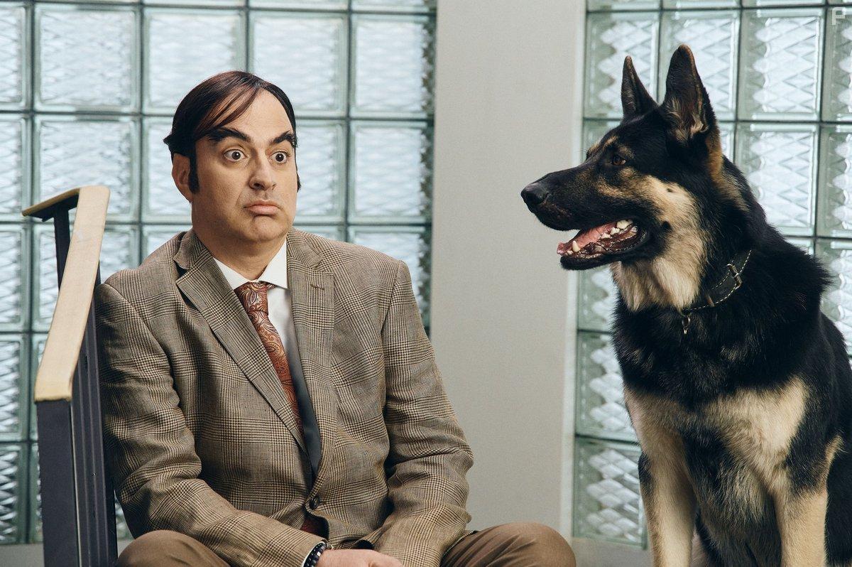 СамоИрония судьбы #8