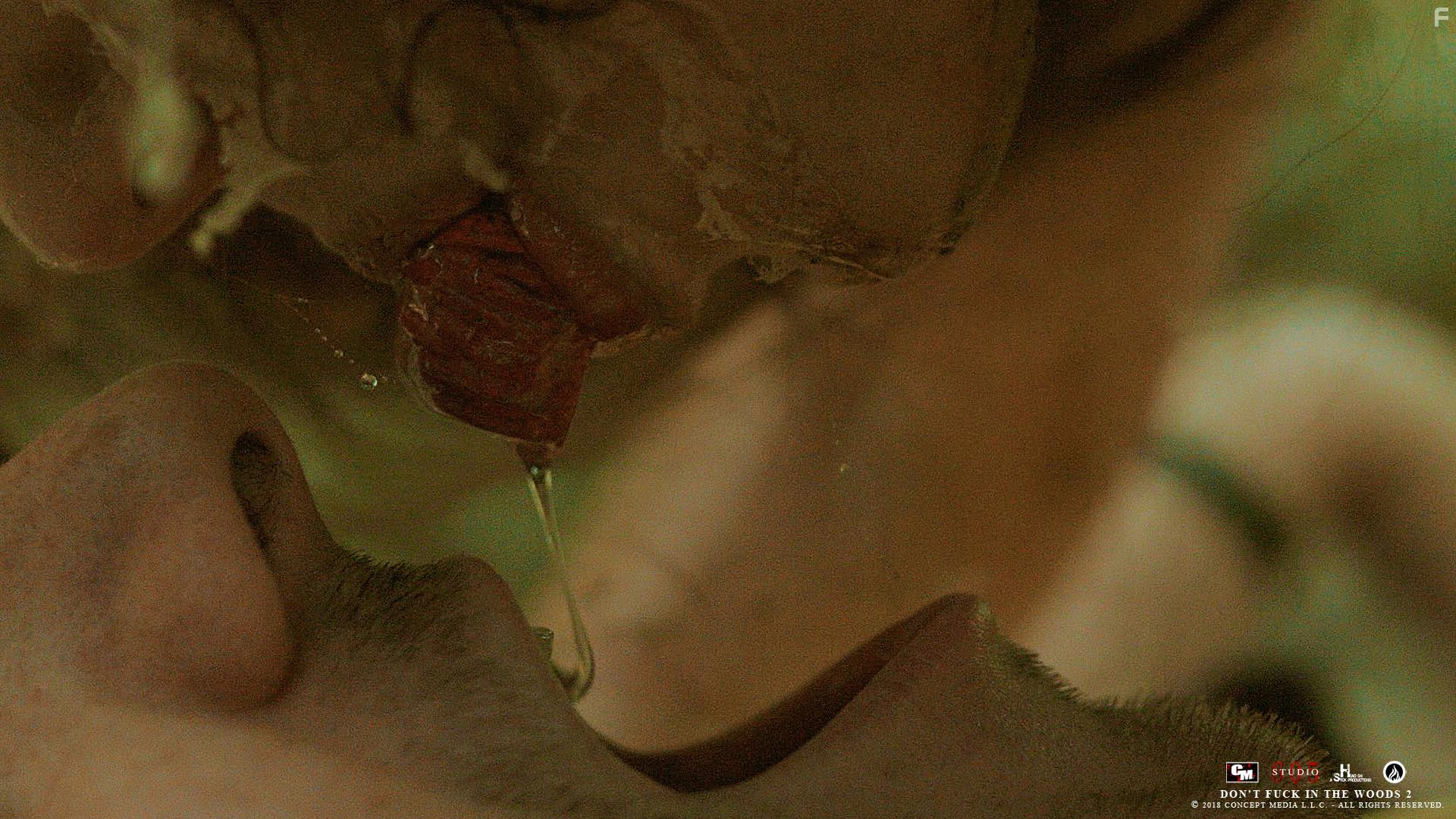 В лесу не сношаться! 2