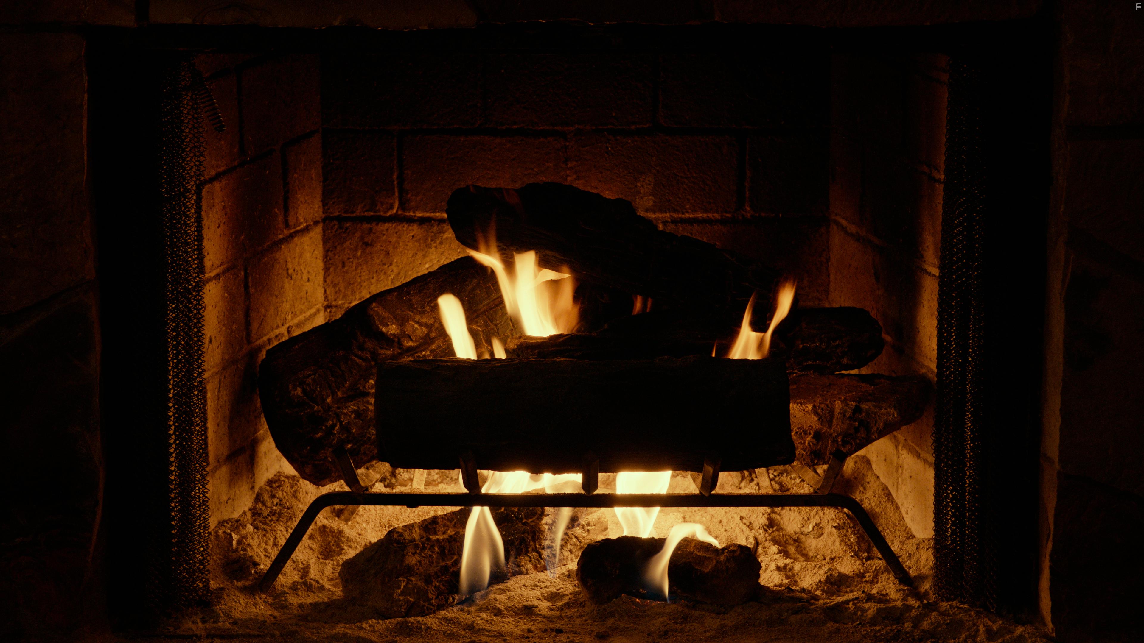 Adult Swim Yule Log (2022)