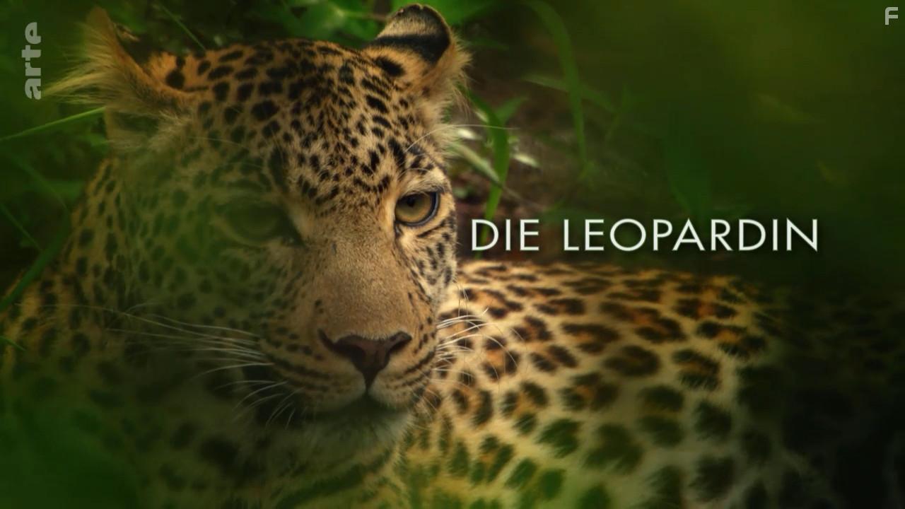 Die Leopardin (2020)