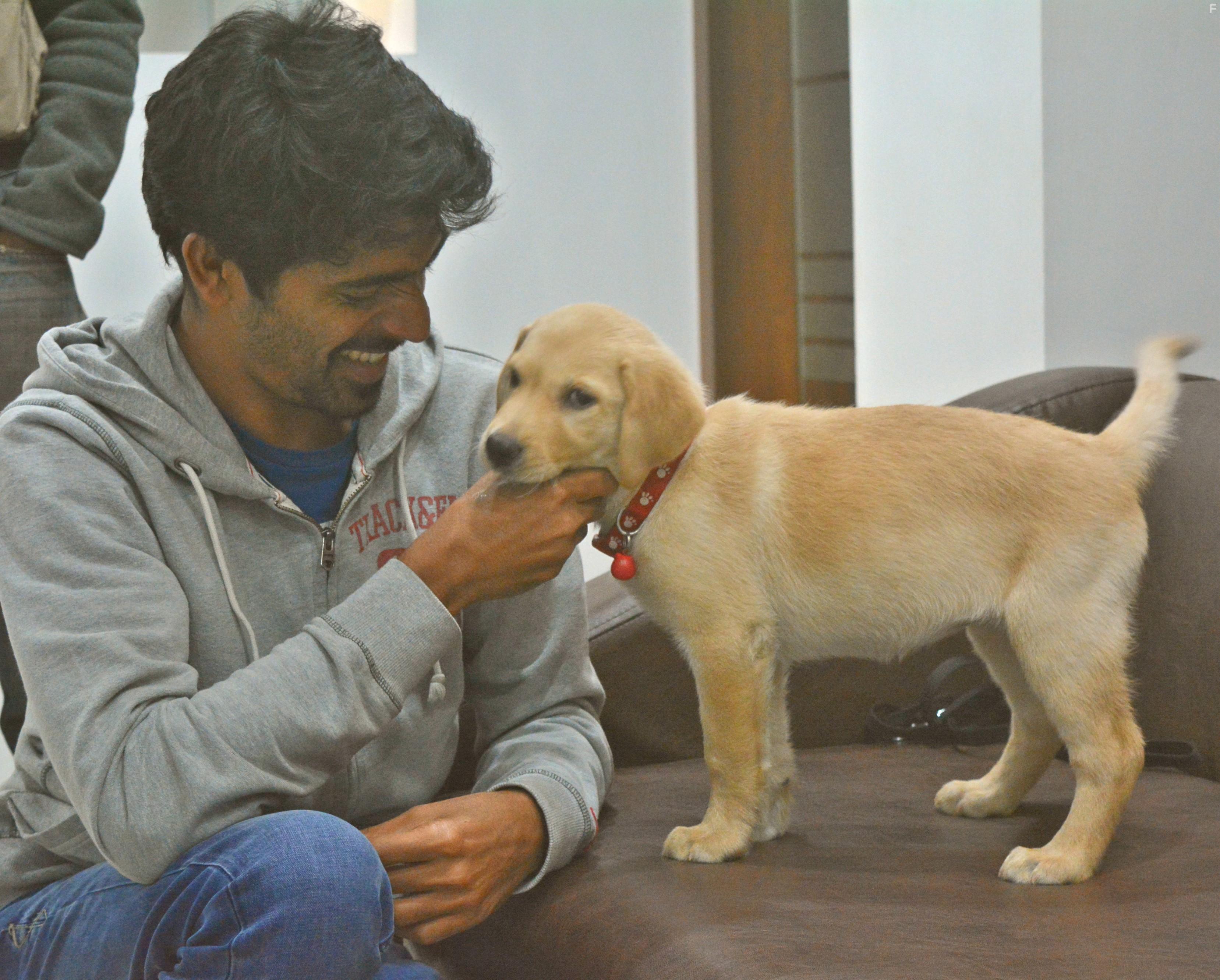 Kiranraj K in 777 Charlie (2022)