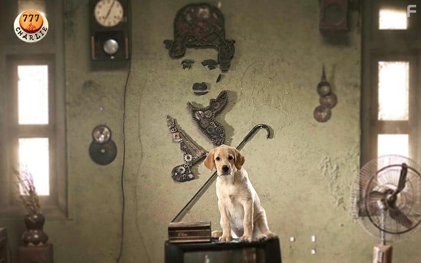 Kiranraj K, Raj B. Shetty, and Charlie in 777 Charlie (2022)