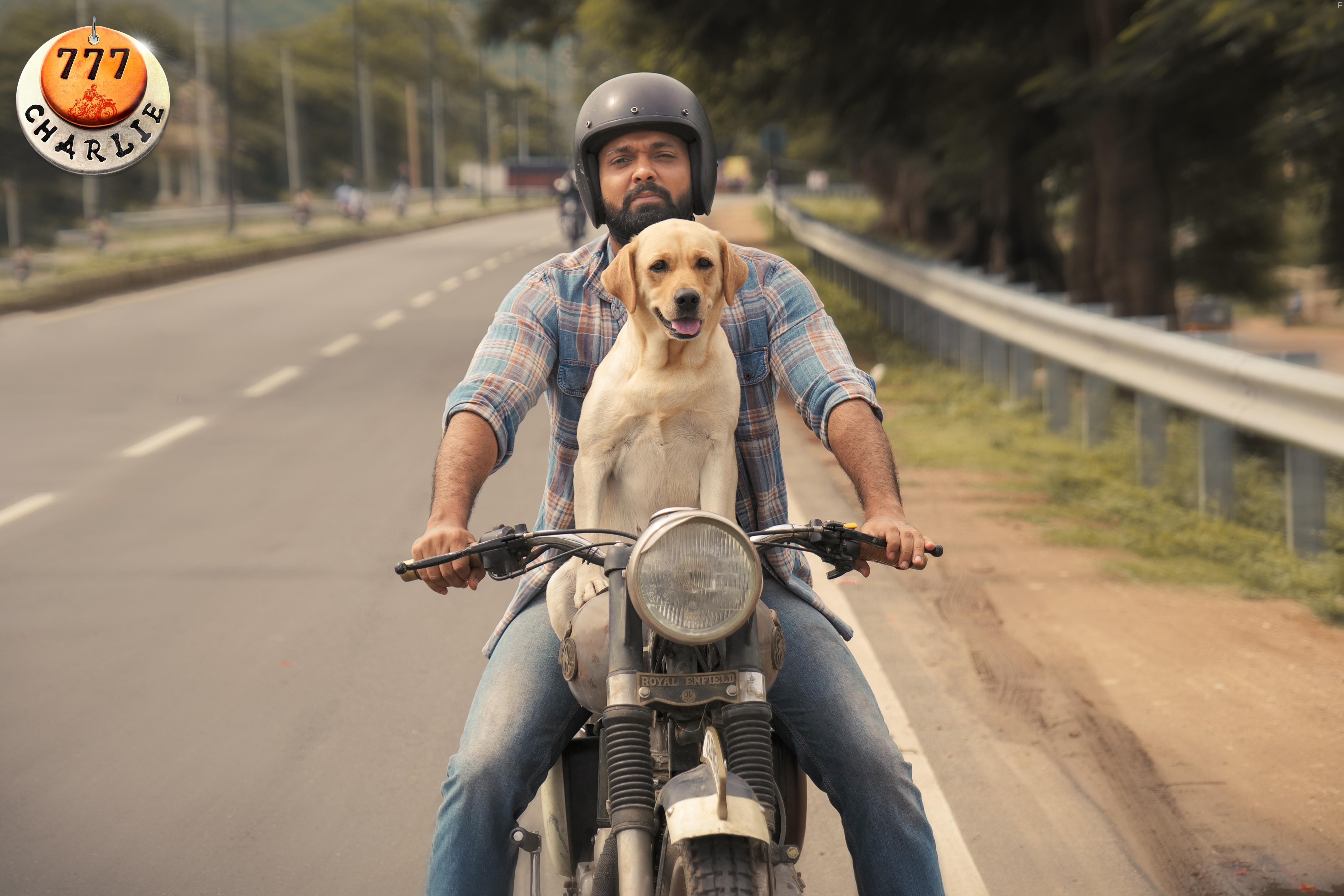 Rakshit Shetty in 777 Charlie (2022)