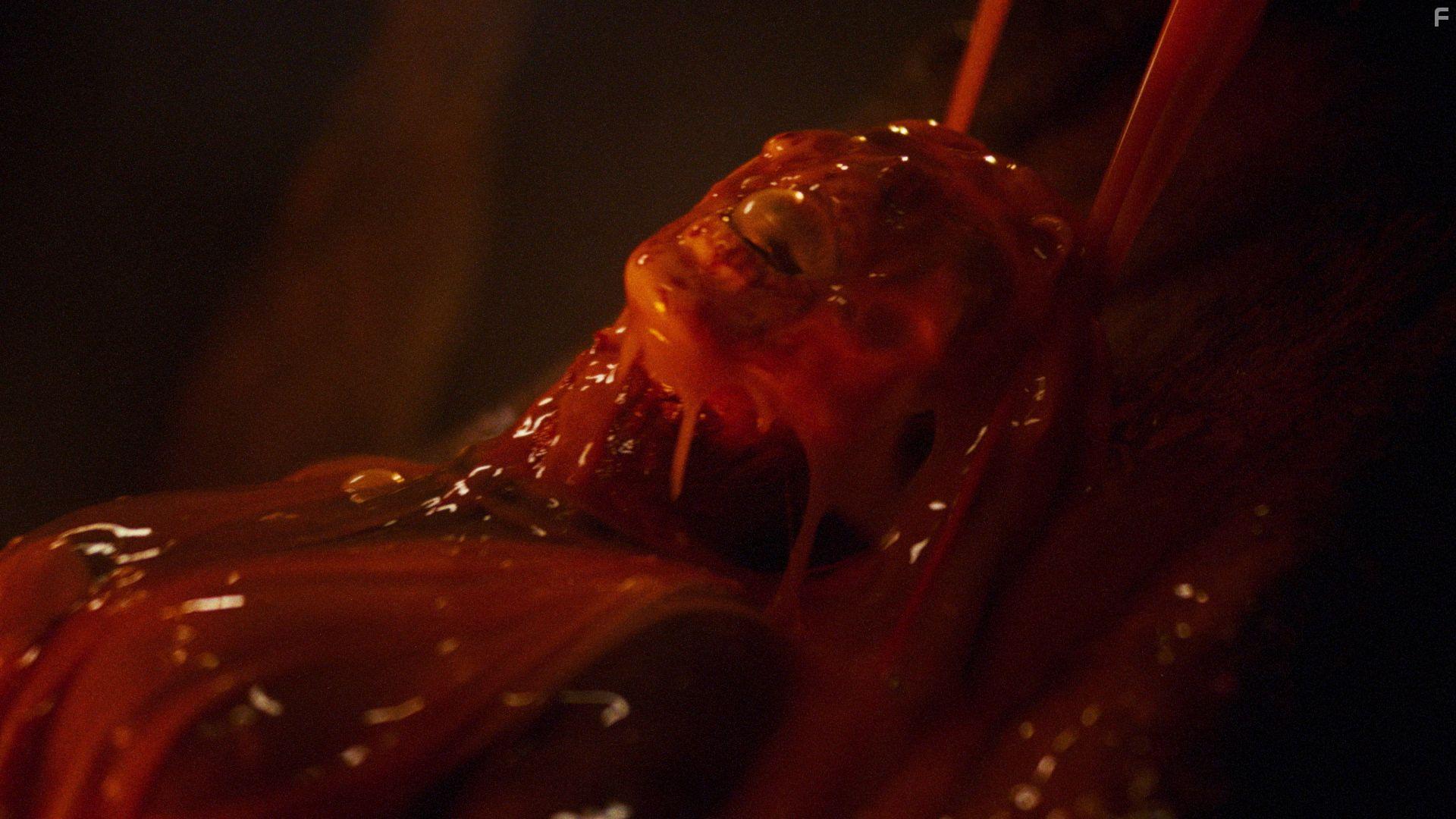 Kids vs. Aliens (2022)