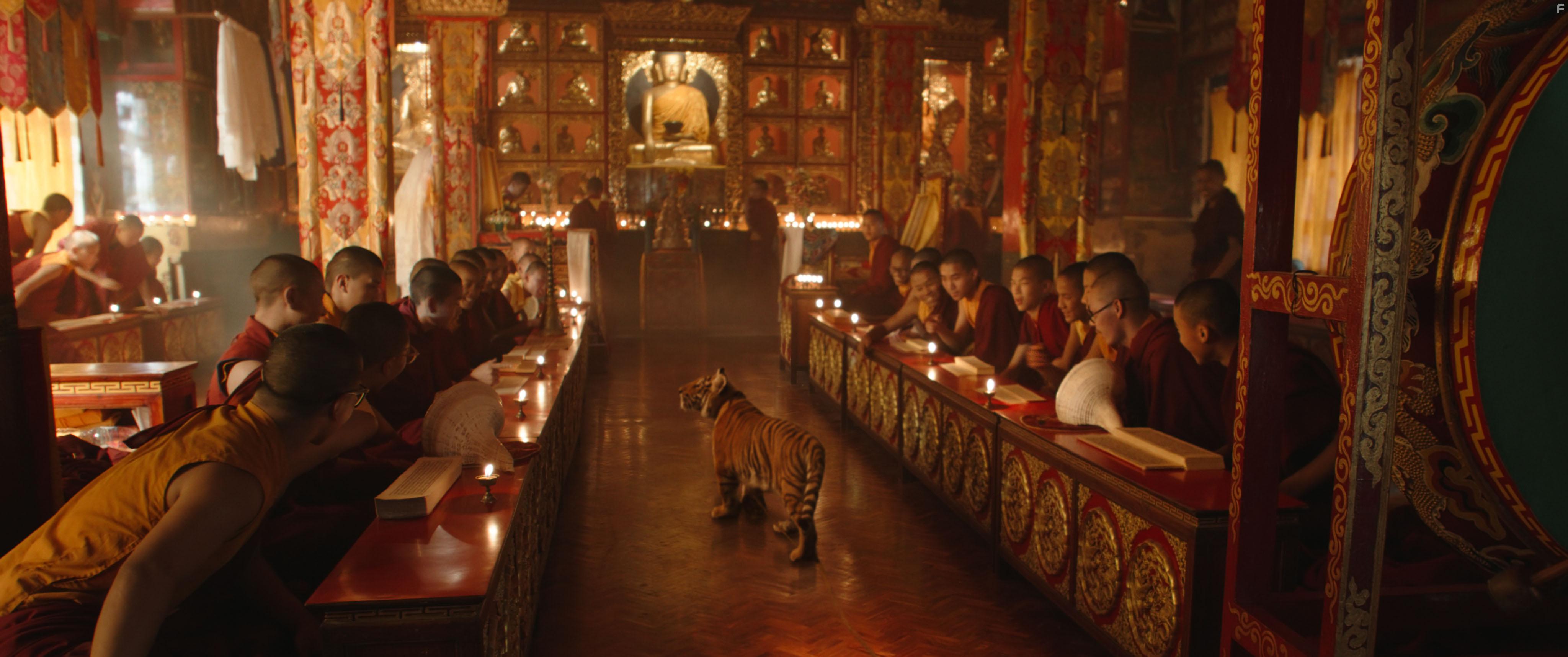 Ta'igara: An adventure in the Himalayas (2022)