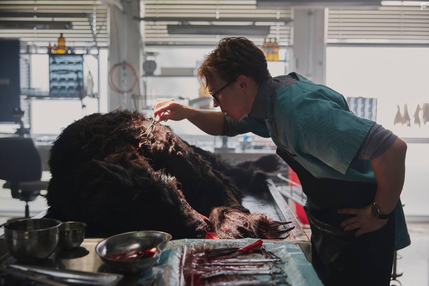 Волк-викинг