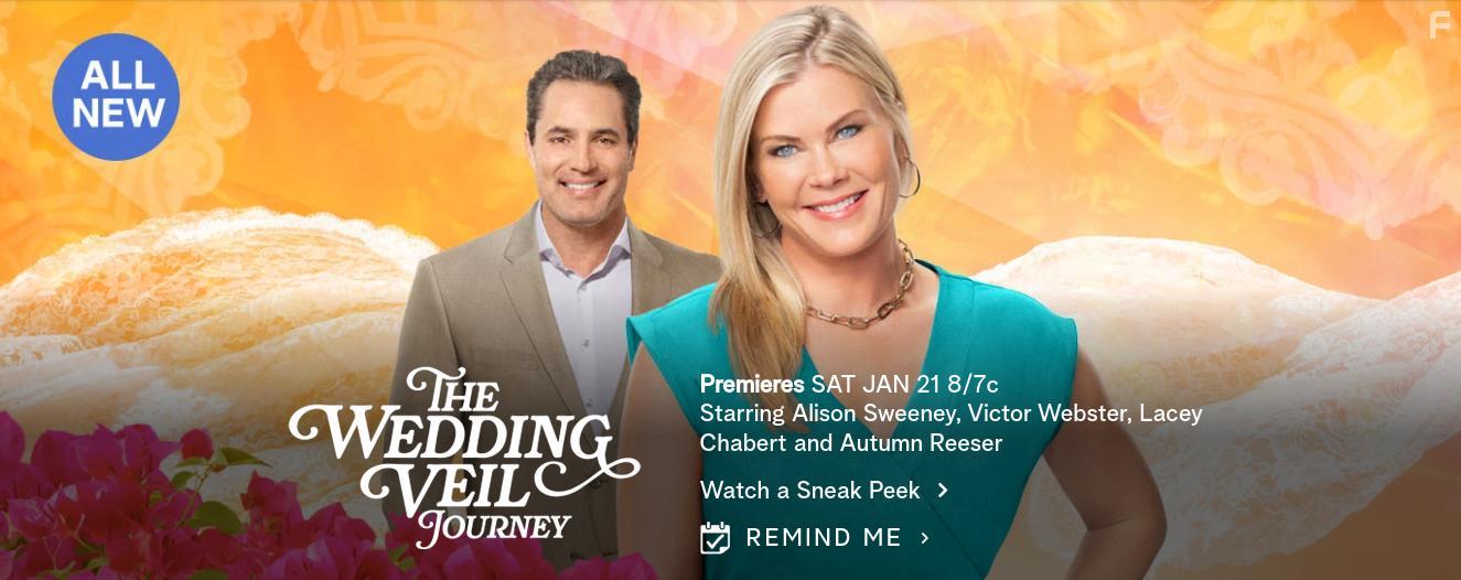 Victor Webster and Alison Sweeney in The Wedding Veil Journey (2023)