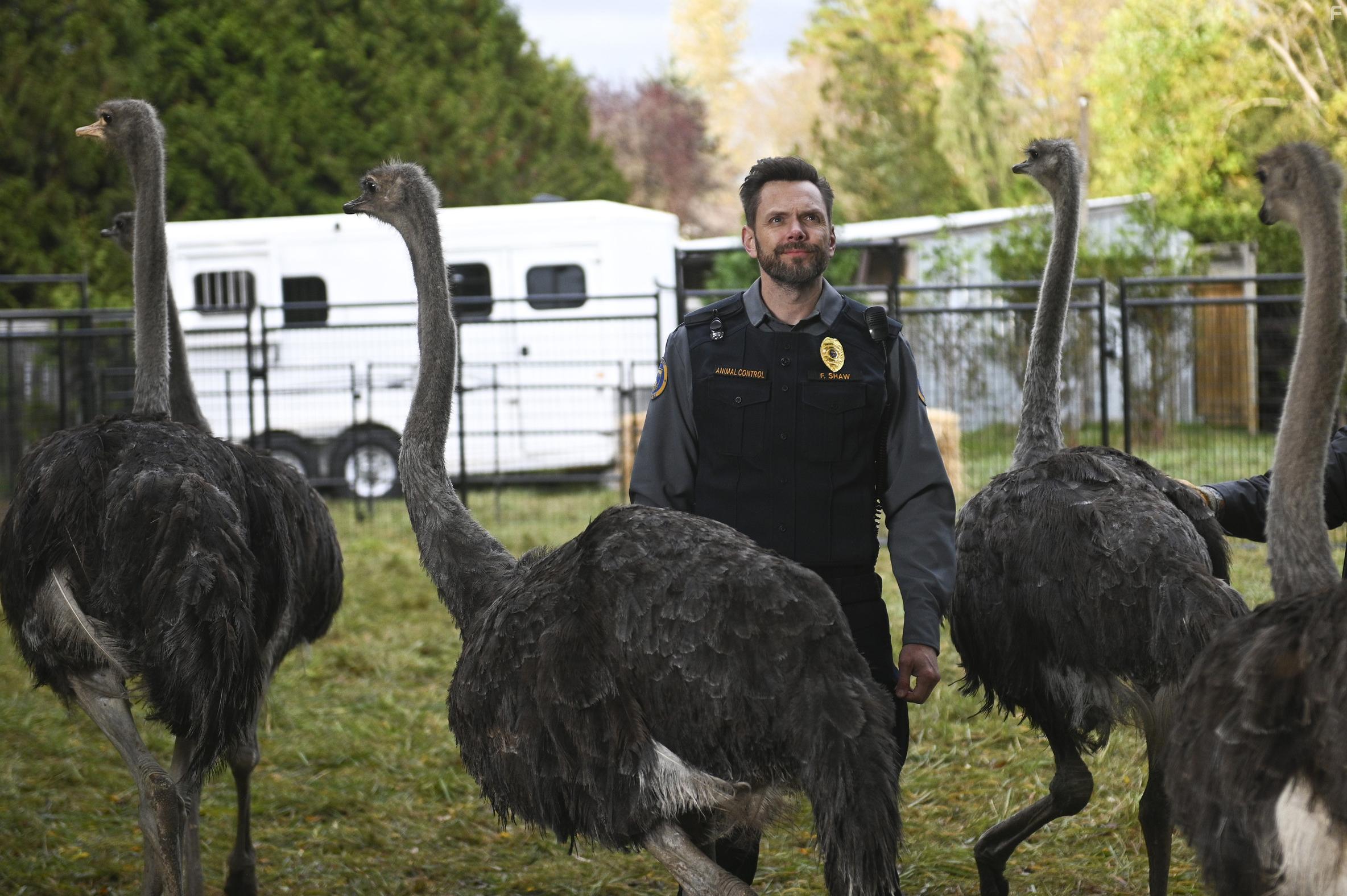 Joel McHale in Animal Control (2023)