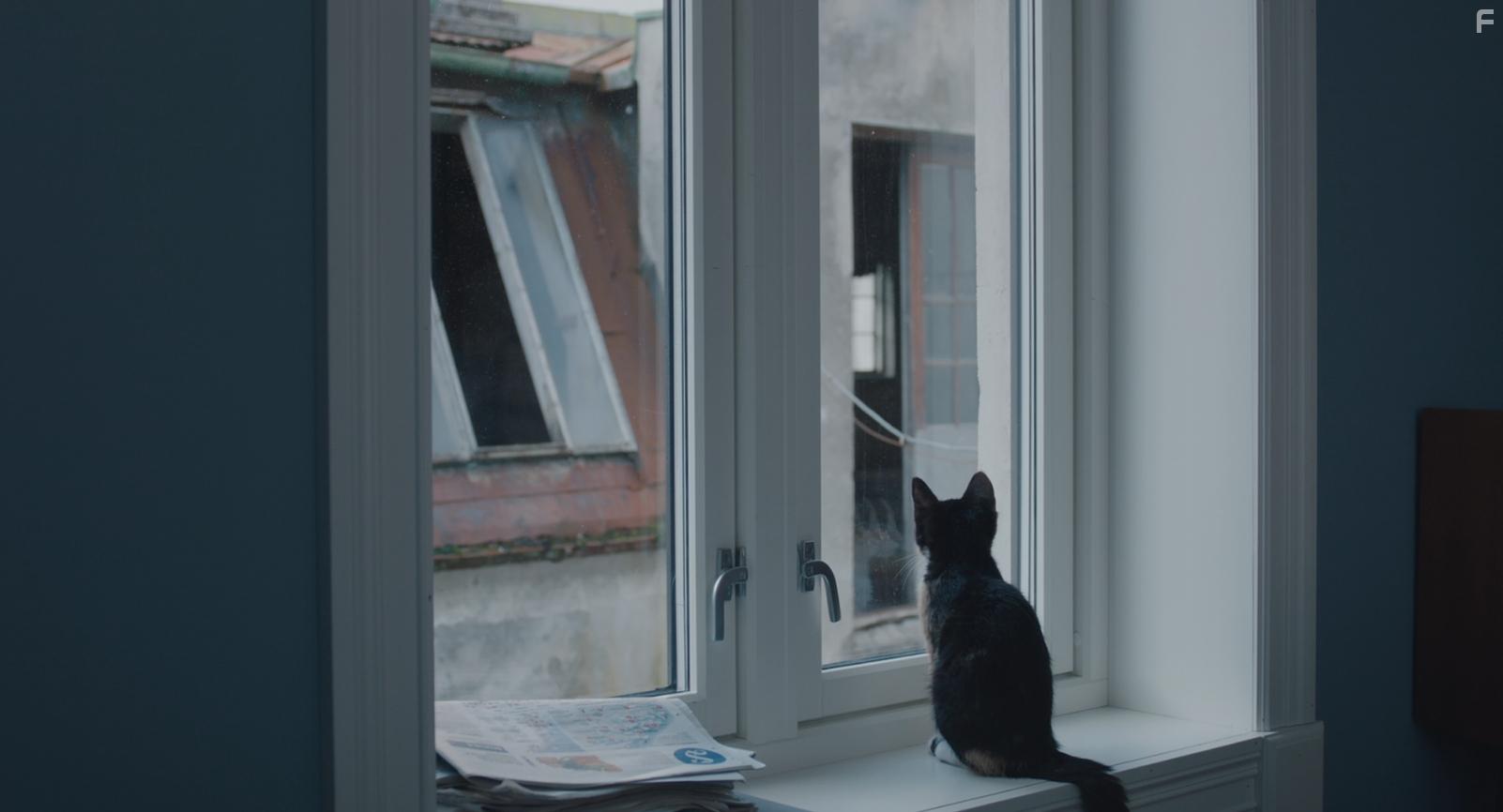 A Human Position (2022)