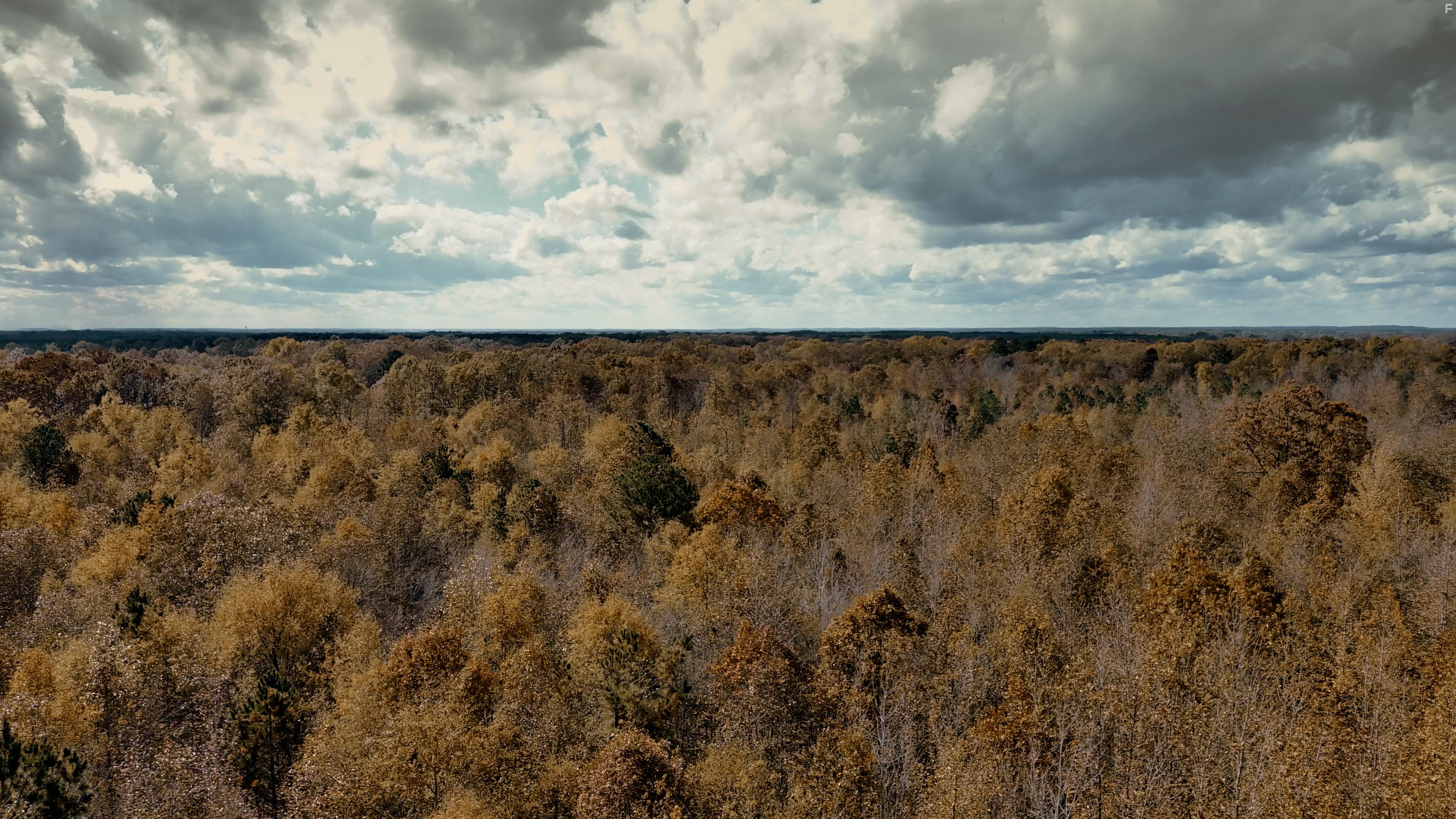 Mysterious Circumstance: The Death of Meriwether Lewis (2022)