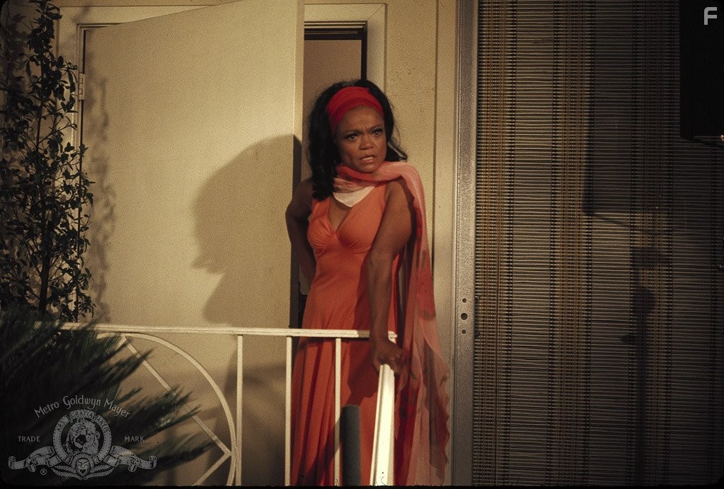 Eartha Kitt in Friday Foster (1975)