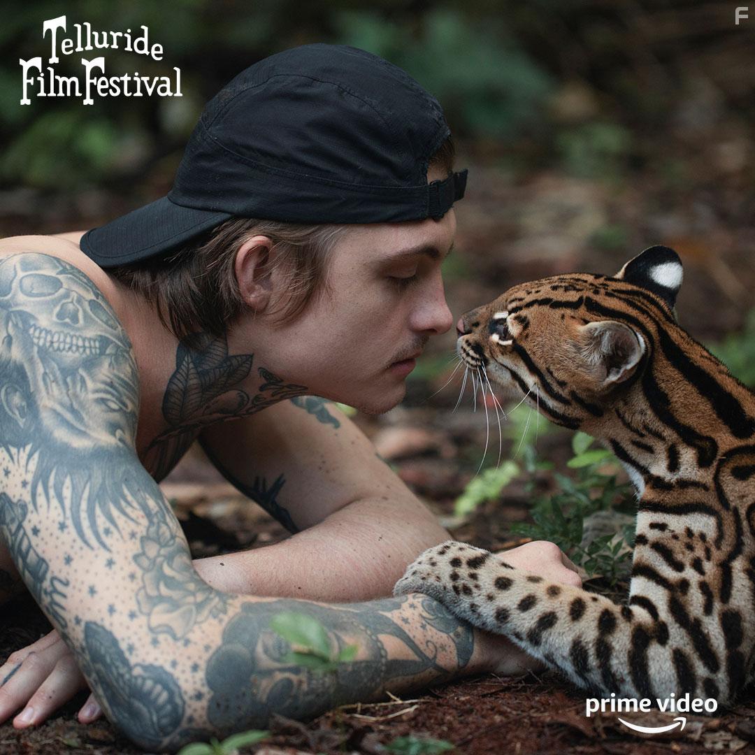 Дикая кошка