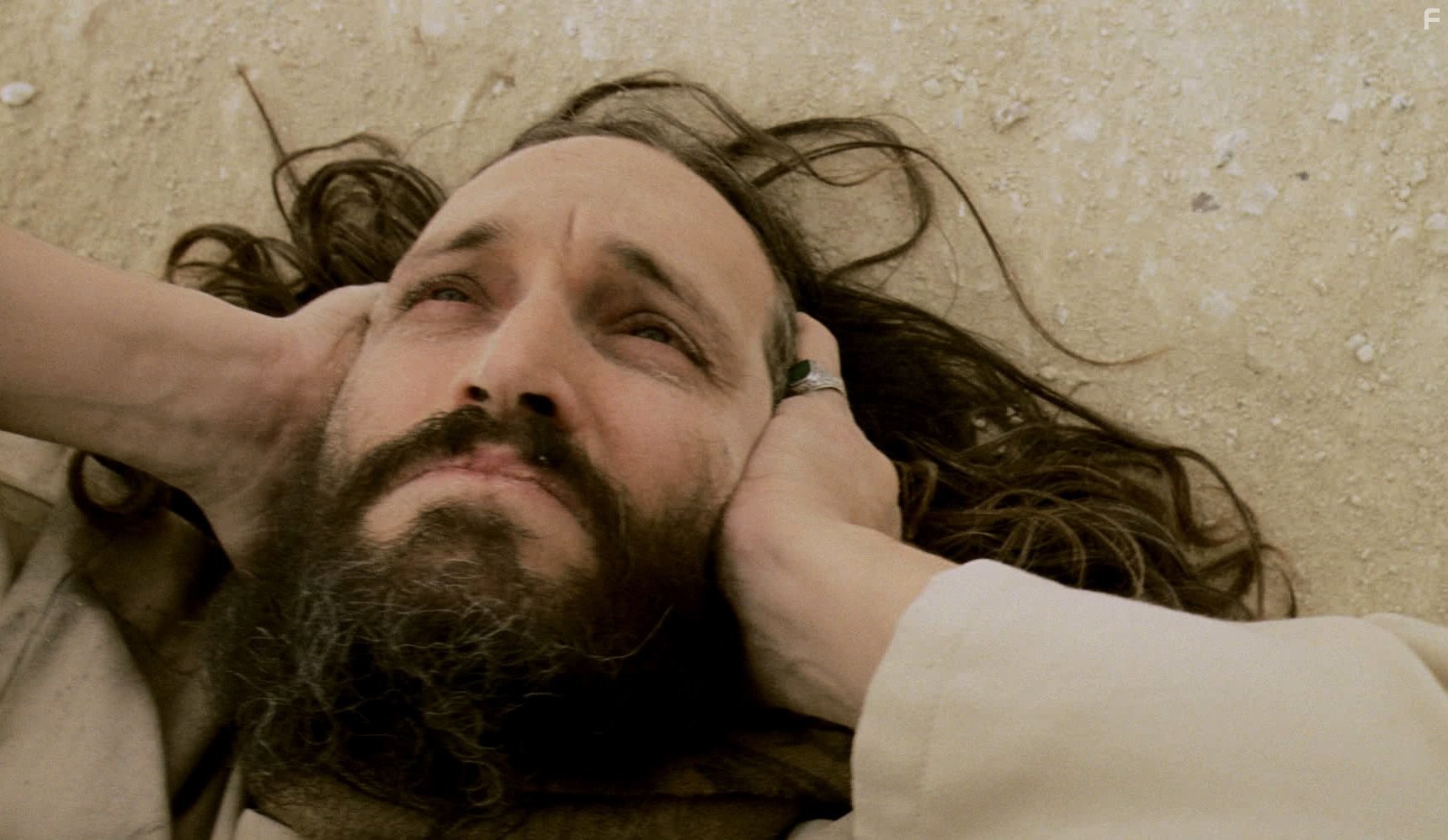 Vincent Gallo in Необходимое убийство (2010)