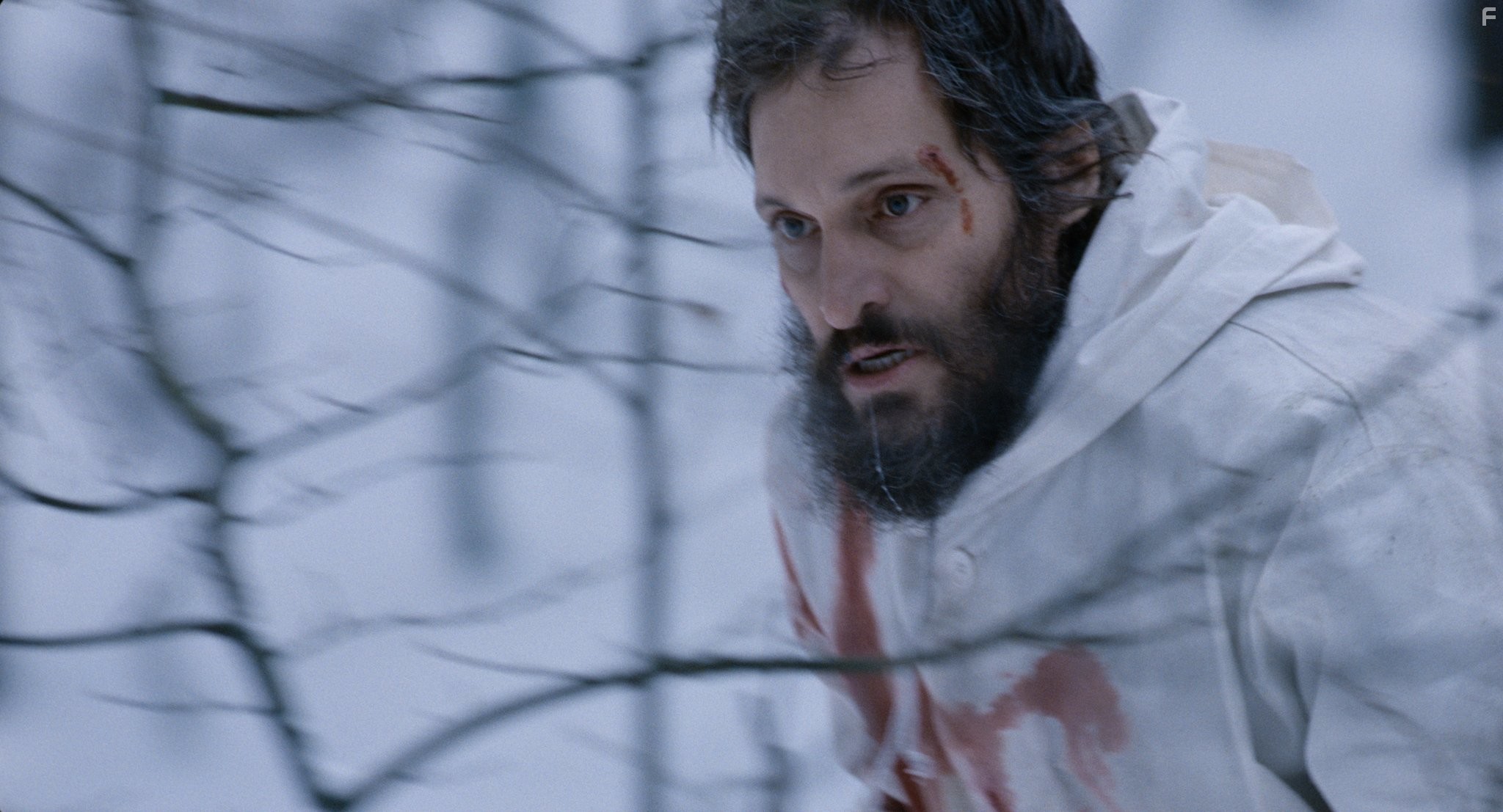 Vincent Gallo in Необходимое убийство (2010)