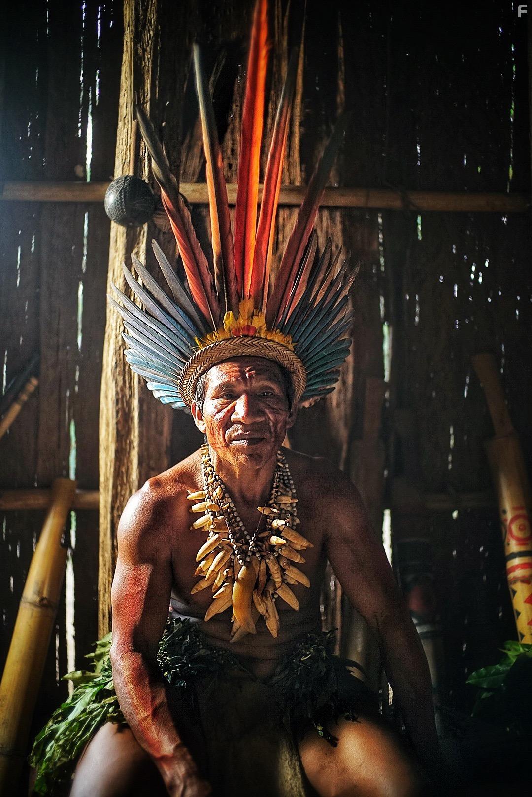 Lost in the Wild (2019)