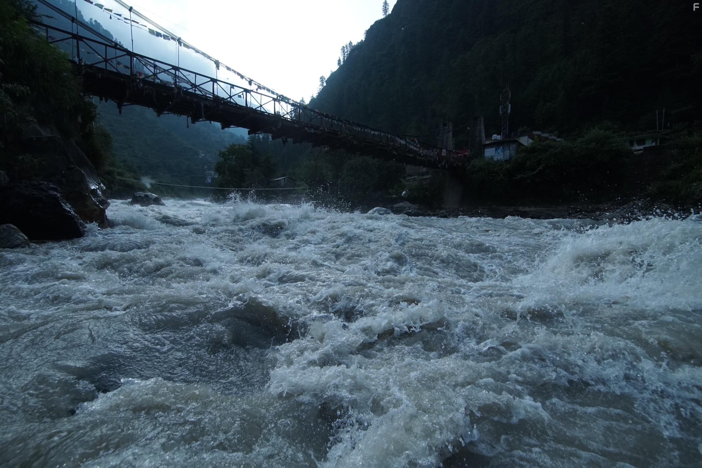 Lost in the Wild (2019)