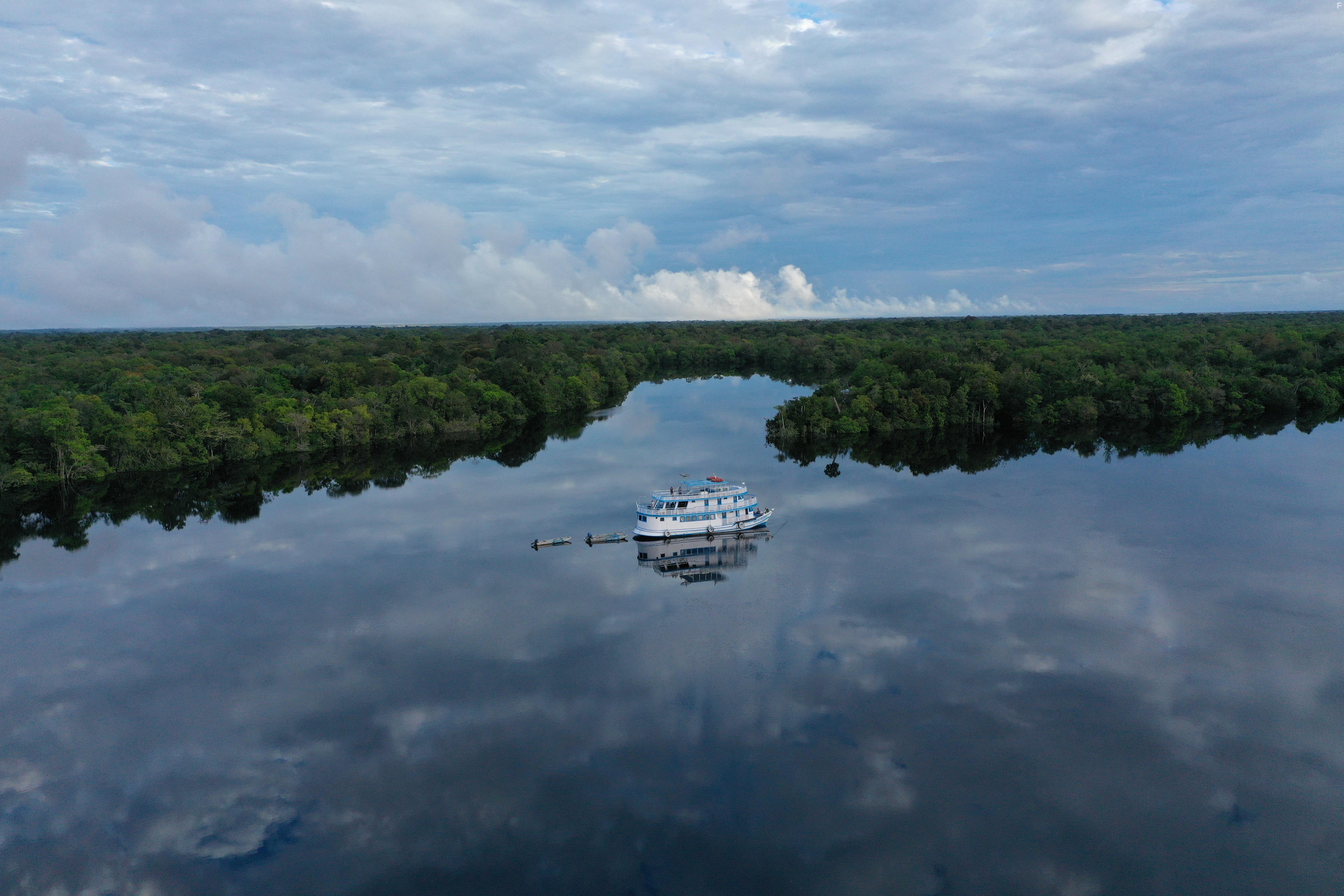 Lost in the Wild (2019)