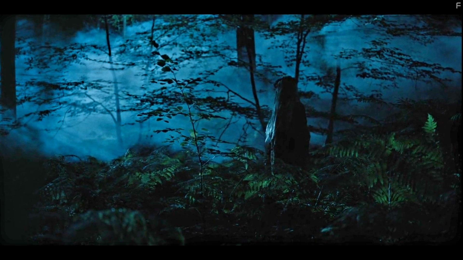 Kalkanski krugovi (2021)