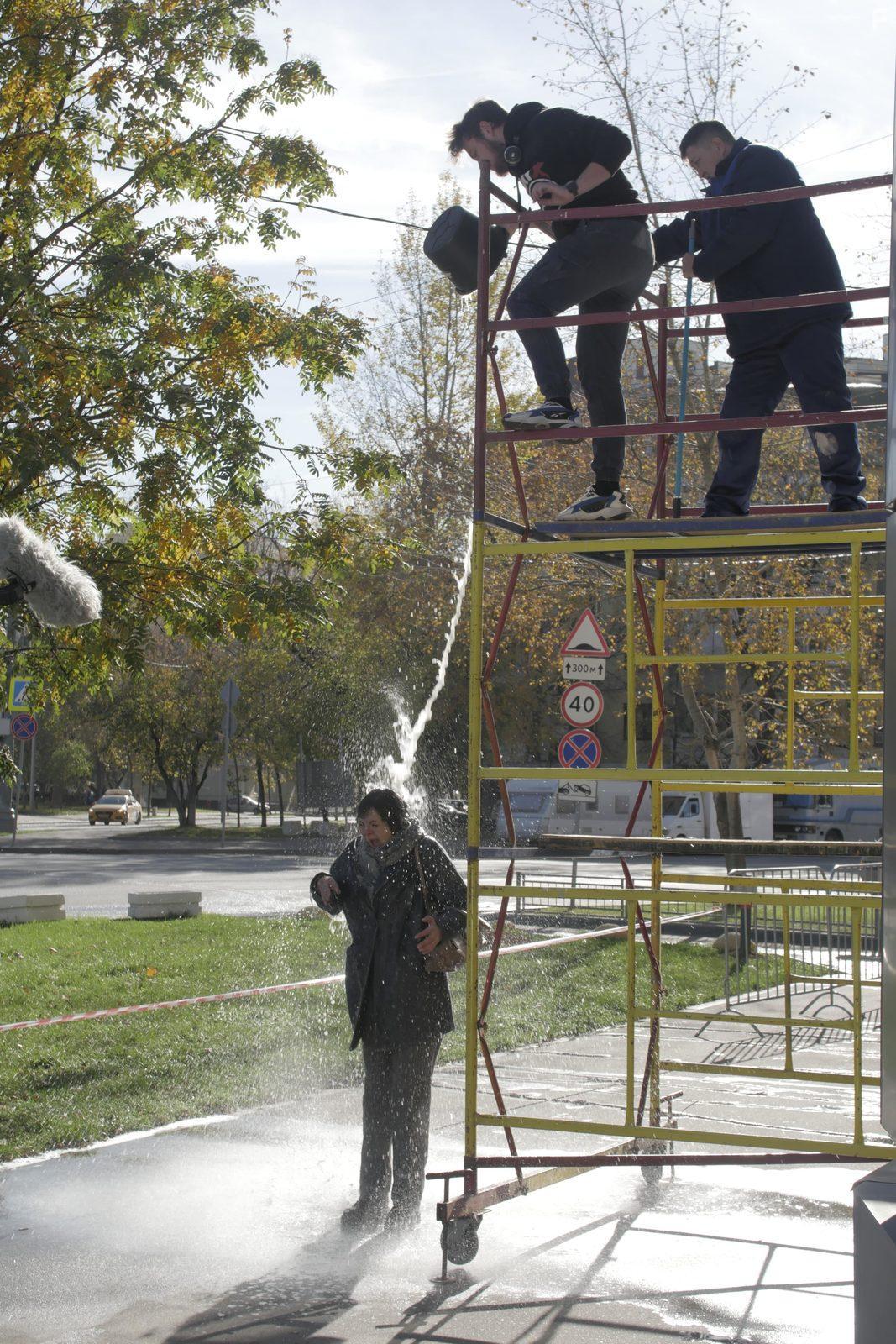 Серая мышь #8