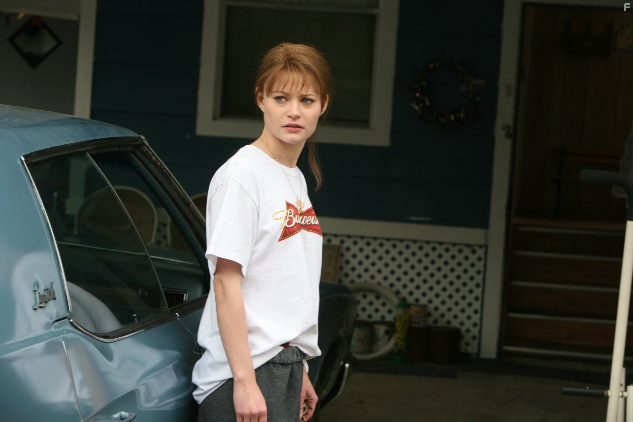 Emilie de Ravin in Хамелеон (2010)