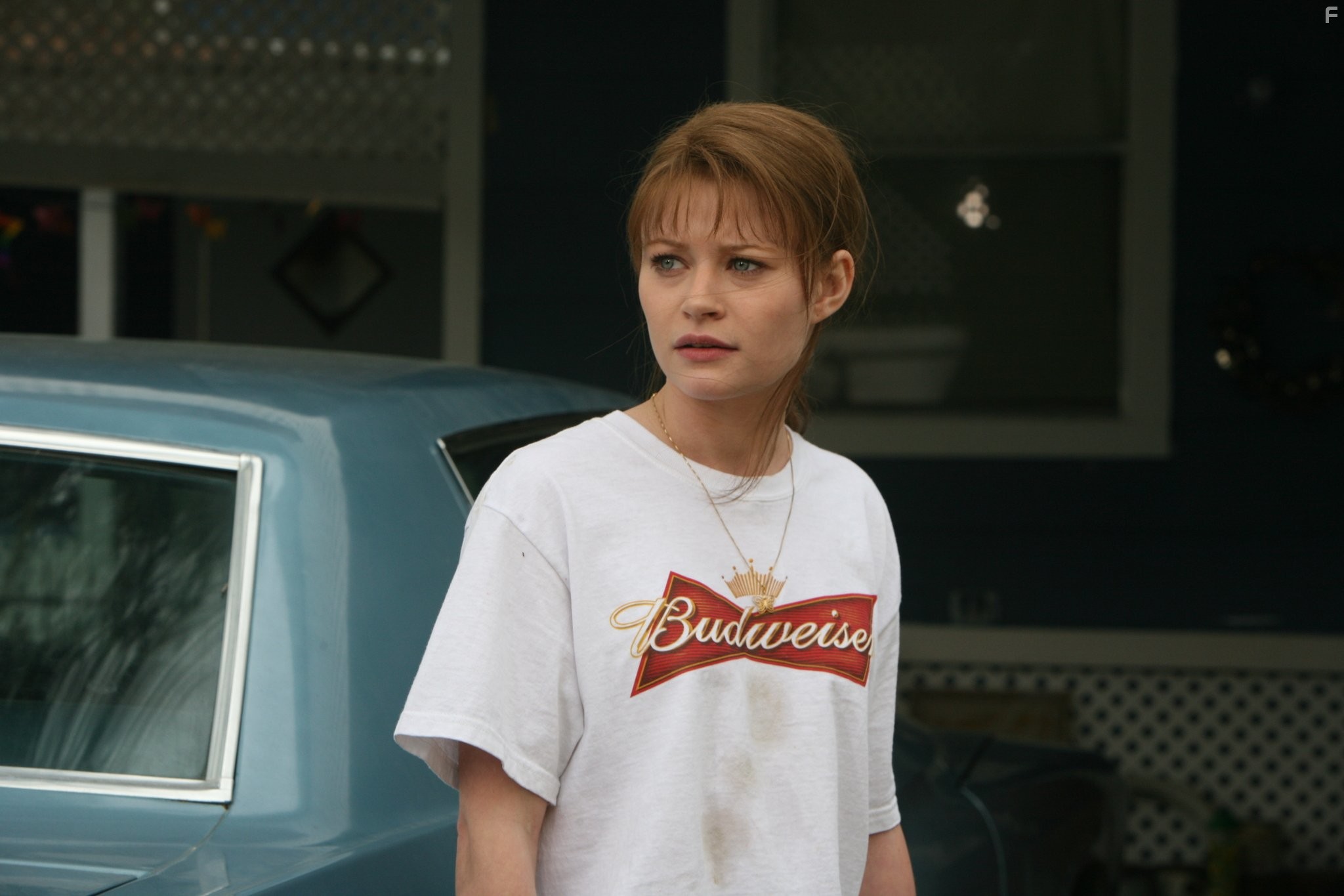 Emilie de Ravin in Хамелеон (2010)