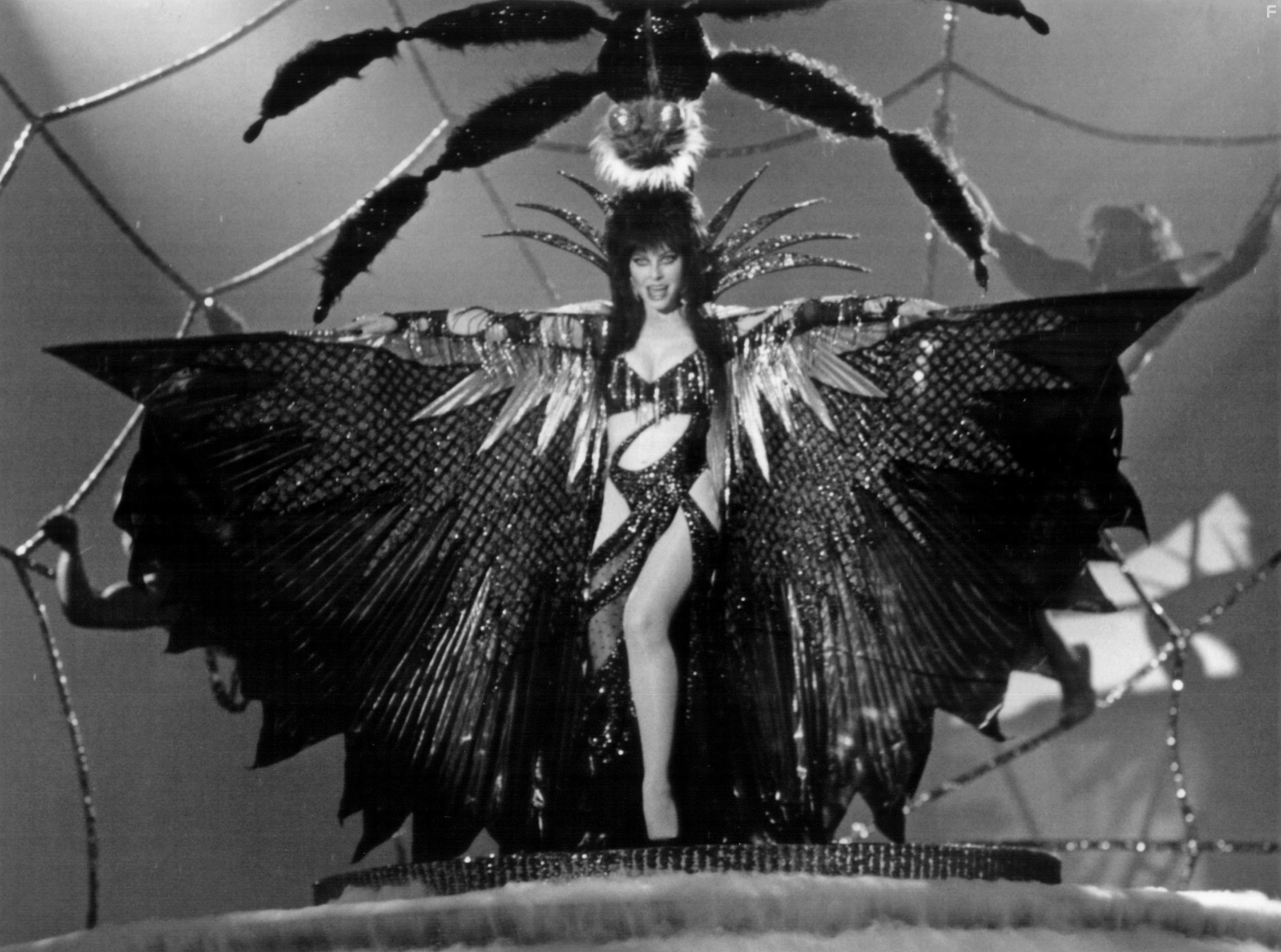 Cassandra Peterson in Эльвира: Повелительница тьмы (1988)