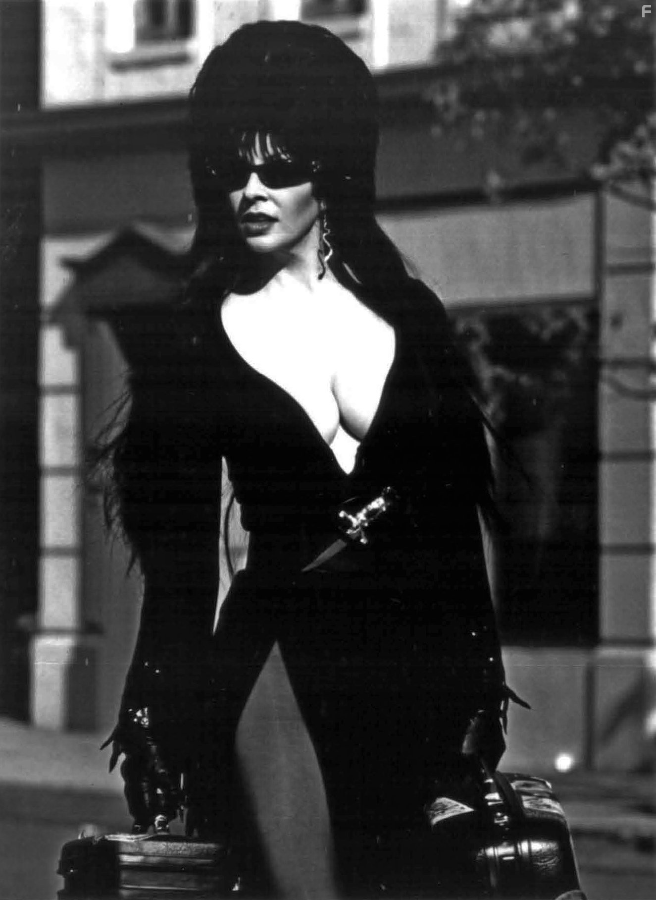 Cassandra Peterson in Эльвира: Повелительница тьмы (1988)