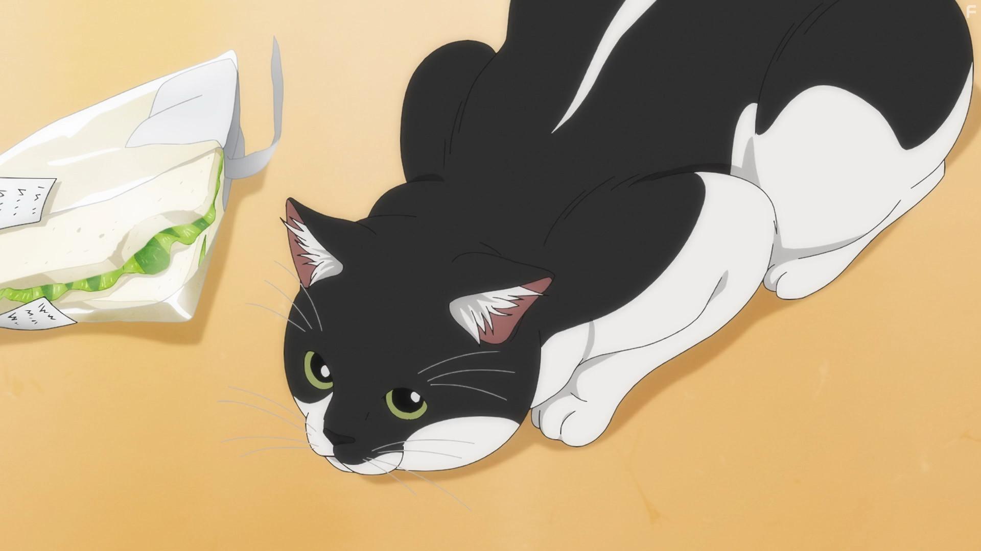 Kimi wa Hokago Insomnia (2023)