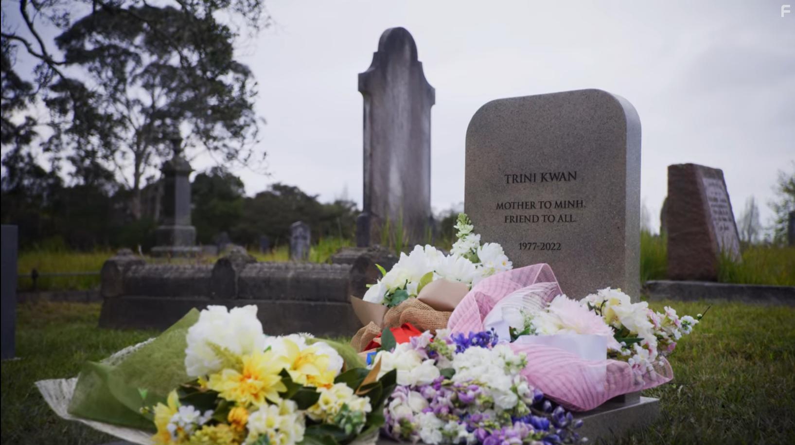 Mighty Morphin Power Rangers: Once & Always (2023)