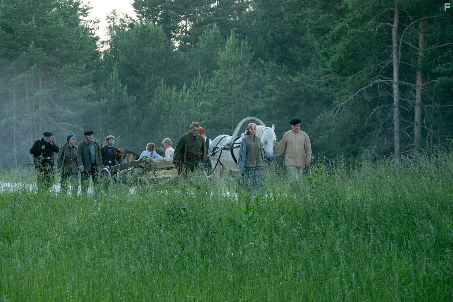 Сокровища партизанского леса #20