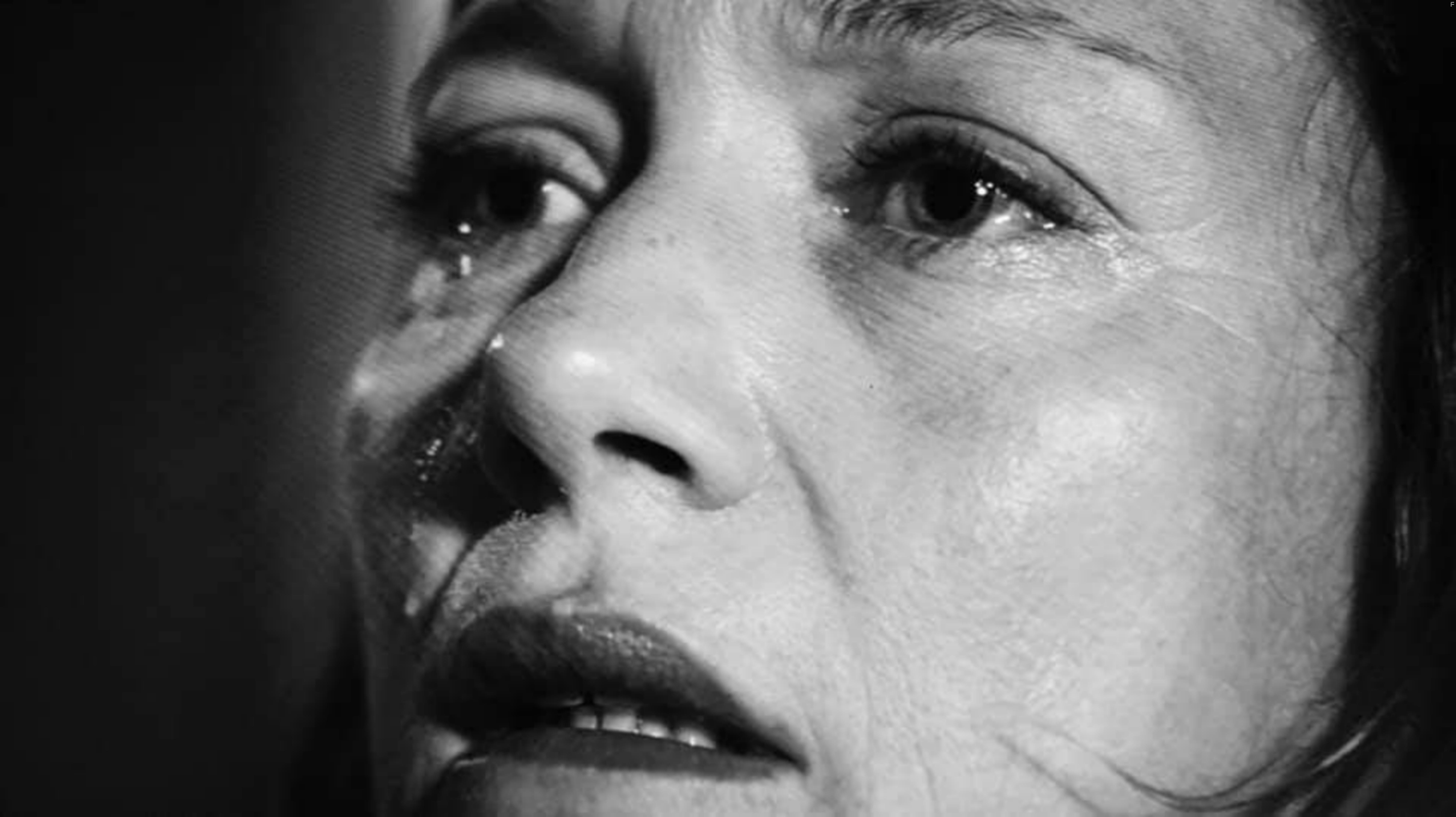 Branka Katic in Novine (2016)