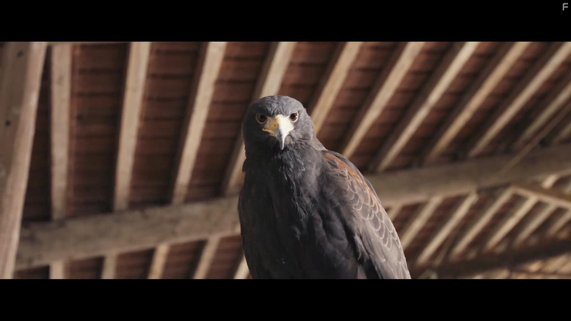 Спасти единственного сына #5