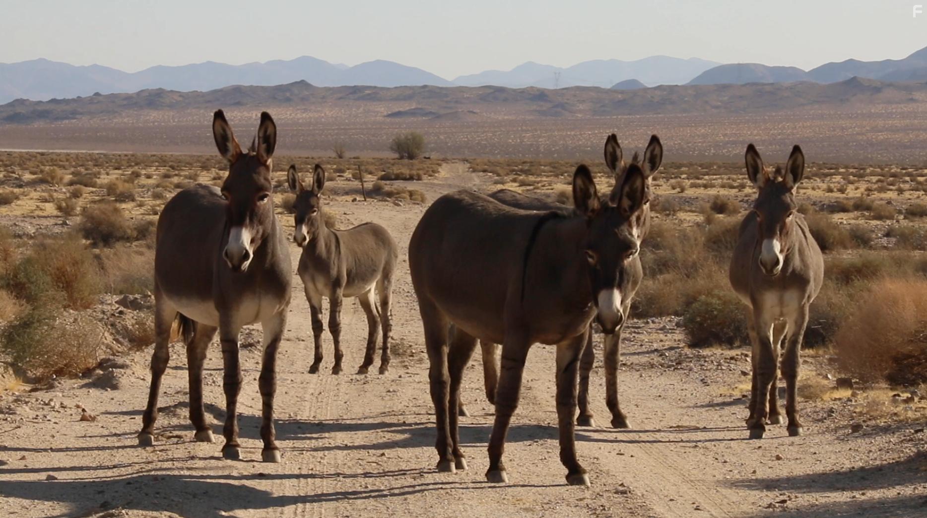 The Outwaters (2022)