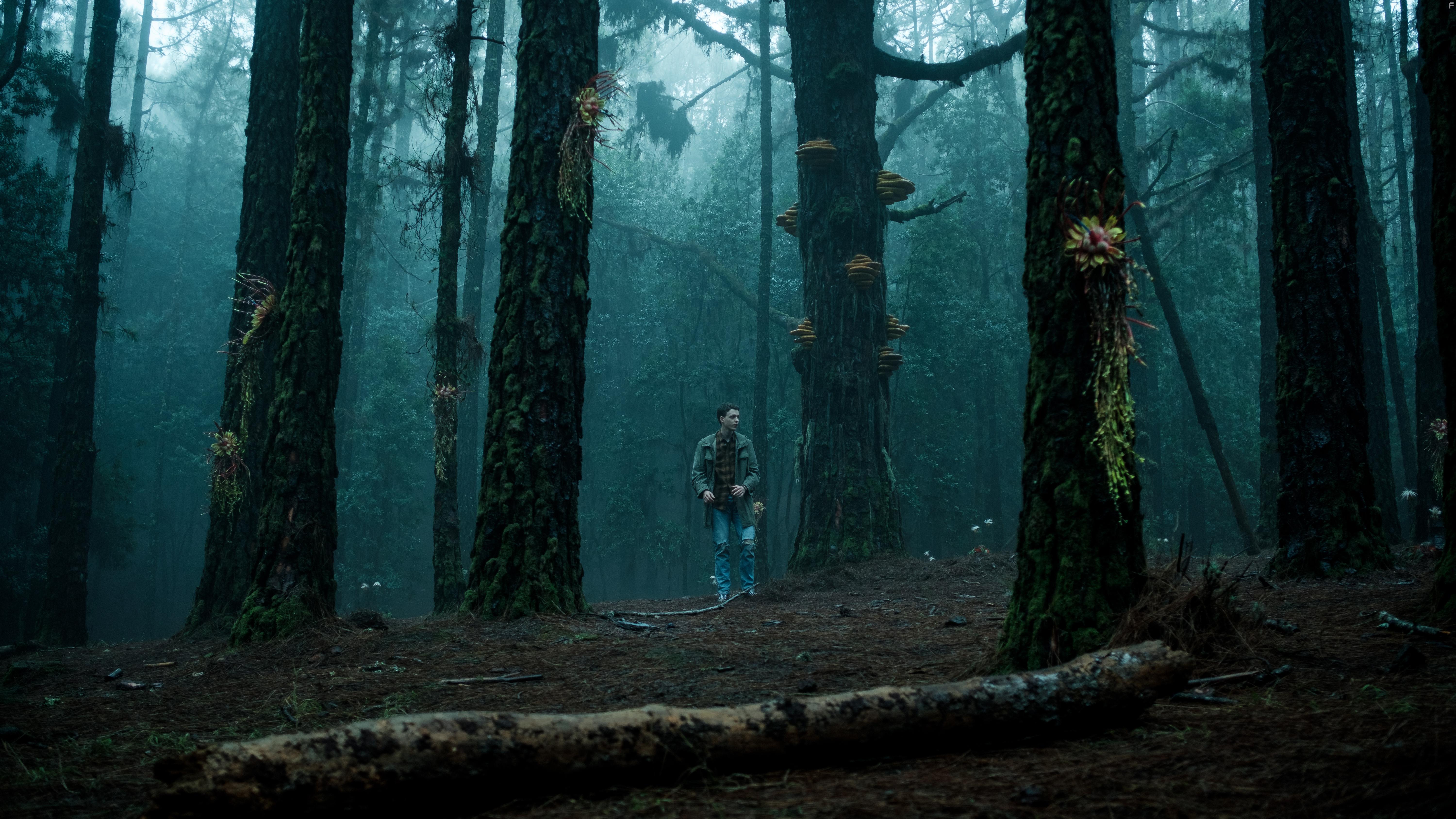 Jeremias Meyer in Der Greif (2023)