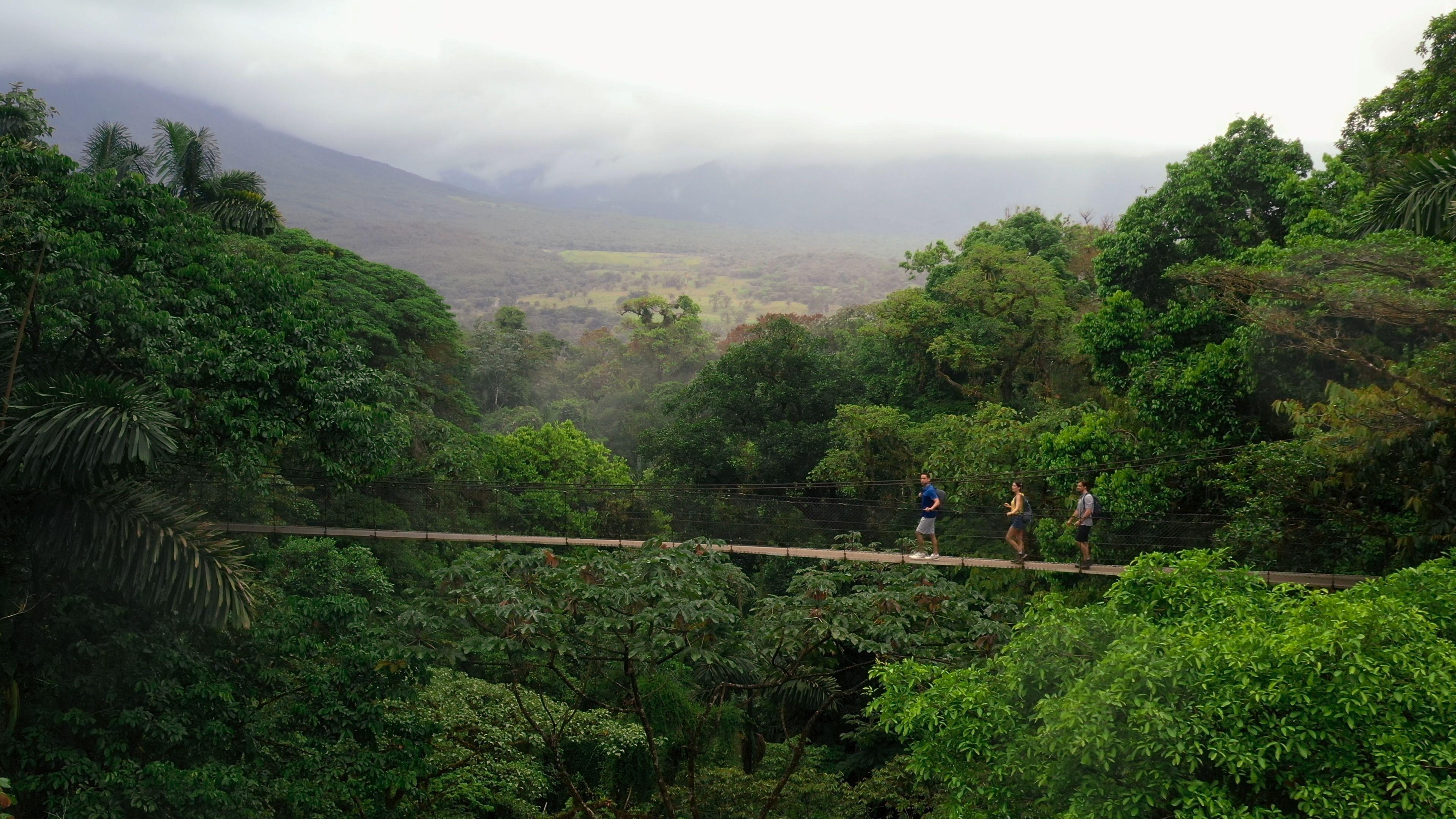 В поисках любви