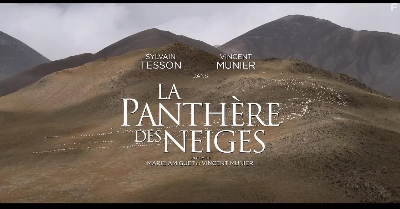 В поисках снежного барса