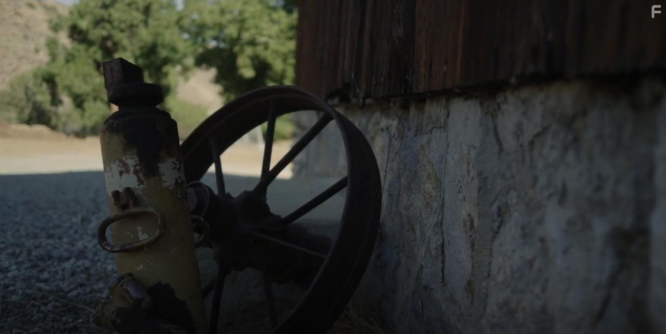 Хаос на ферме