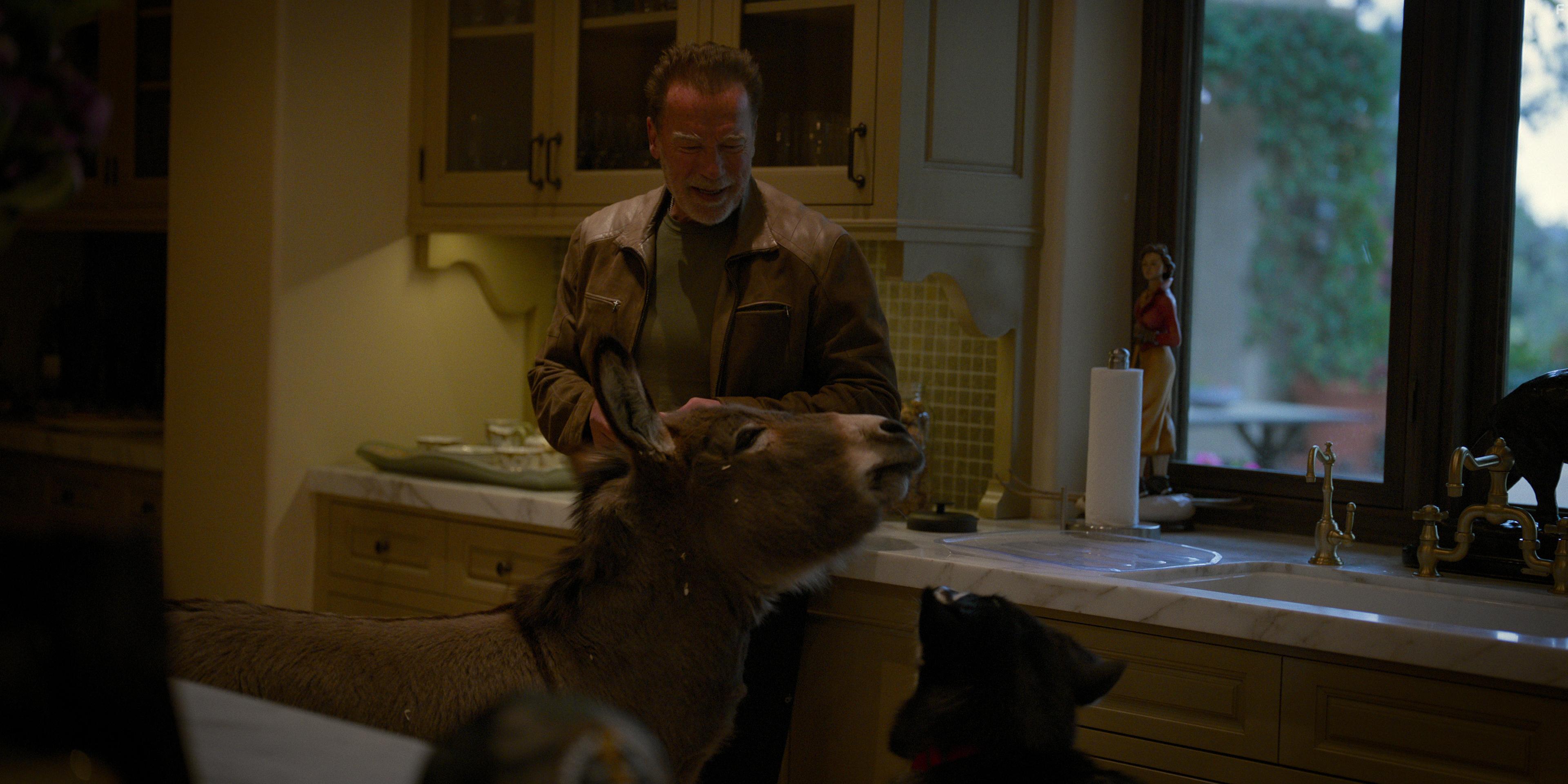 Arnold Schwarzenegger in Arnold (2023)